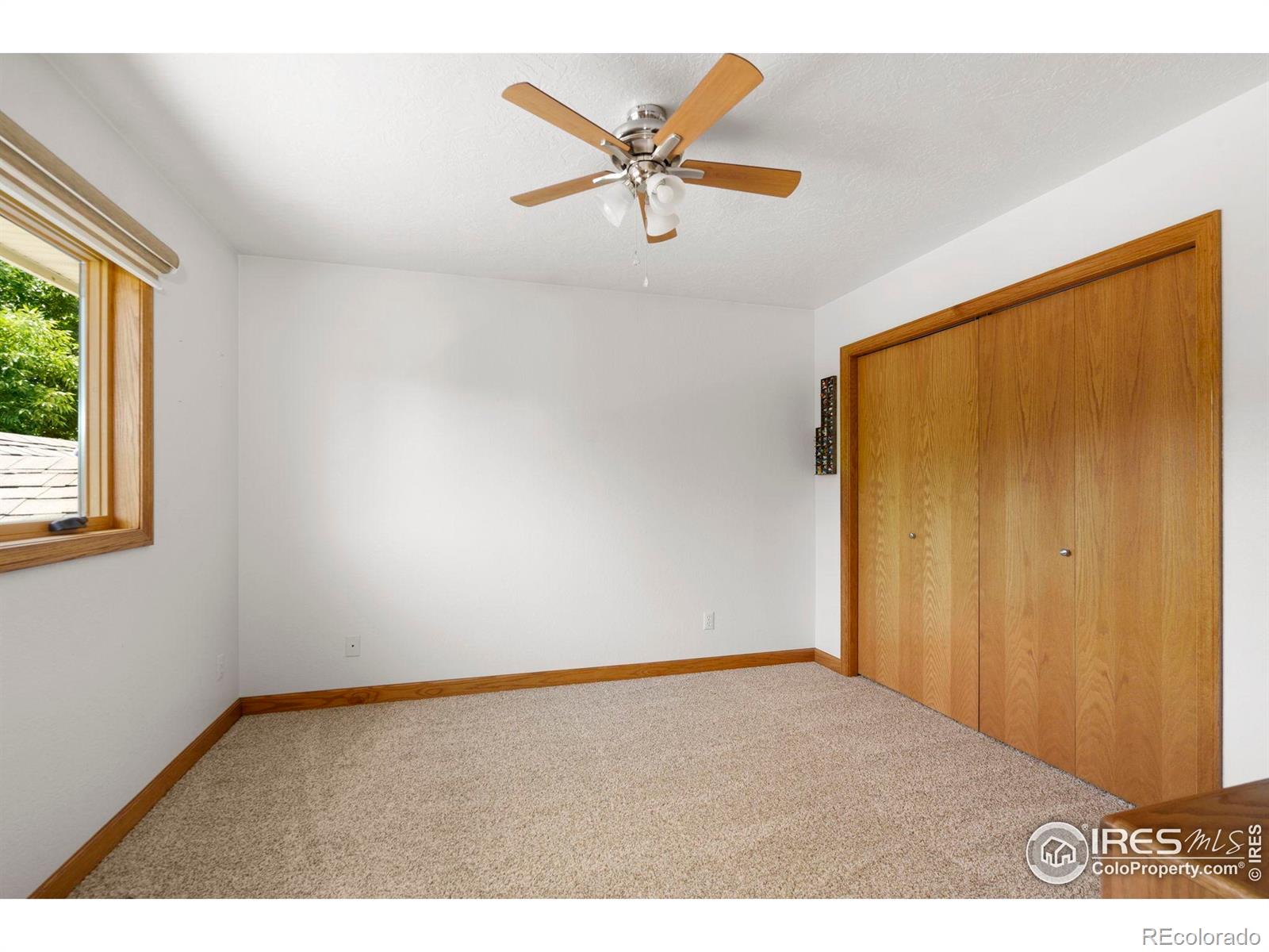 MLS Image #20 for 5114  hogan court,fort collins, Colorado