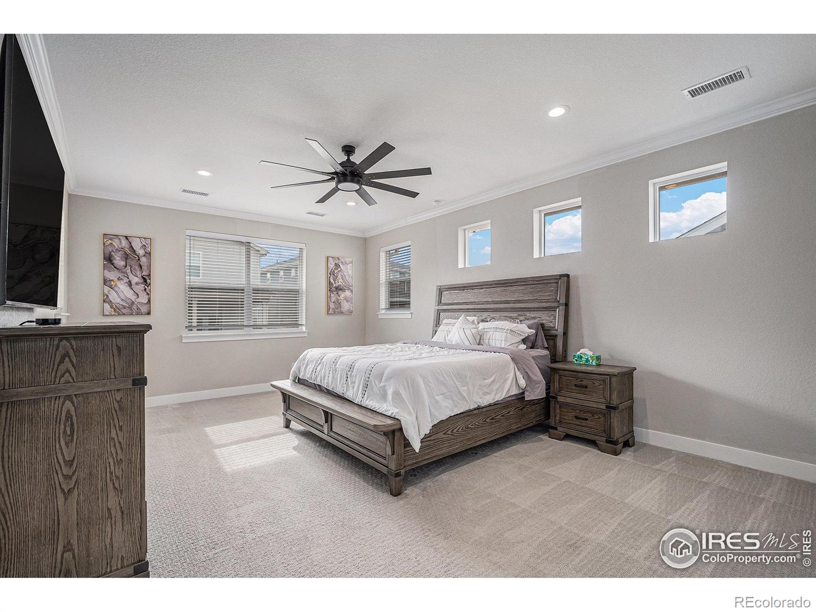 MLS Image #16 for 6733 s waterloo court,aurora, Colorado