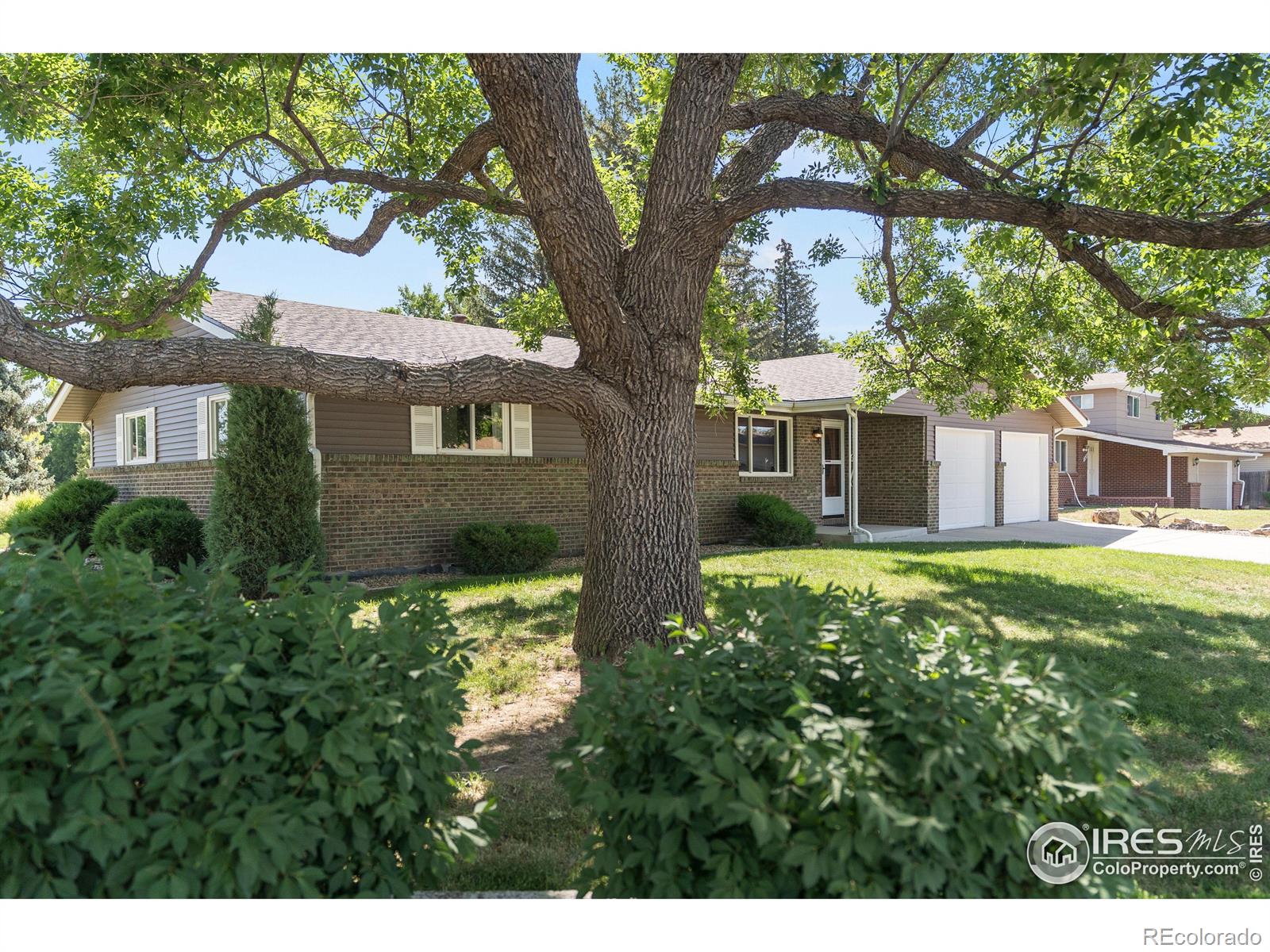 MLS Image #34 for 2442  collyer street,longmont, Colorado