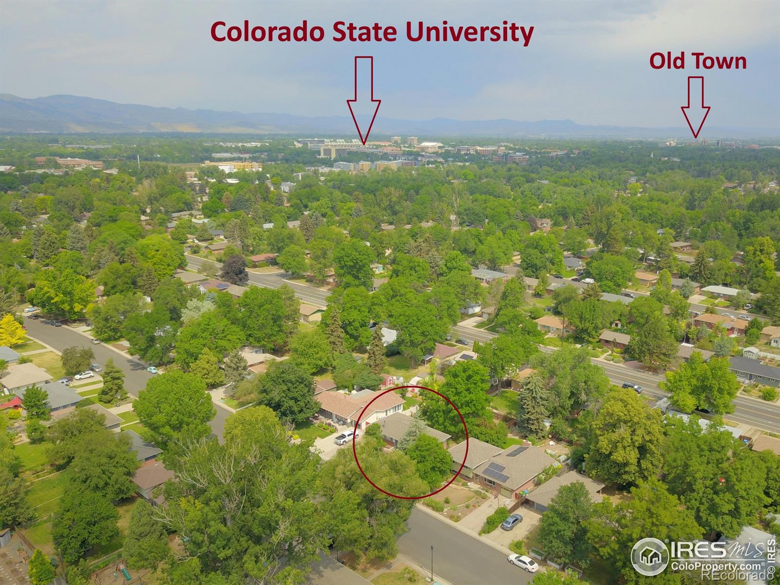 MLS Image #28 for 600  cornell avenue,fort collins, Colorado