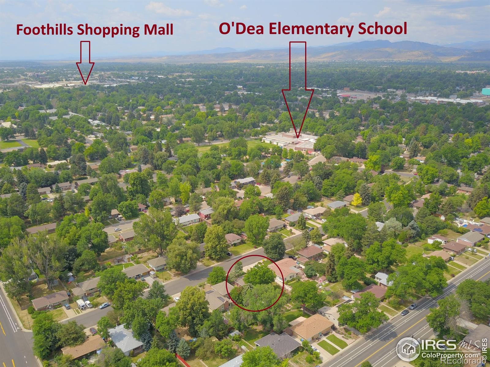 MLS Image #29 for 600  cornell avenue,fort collins, Colorado