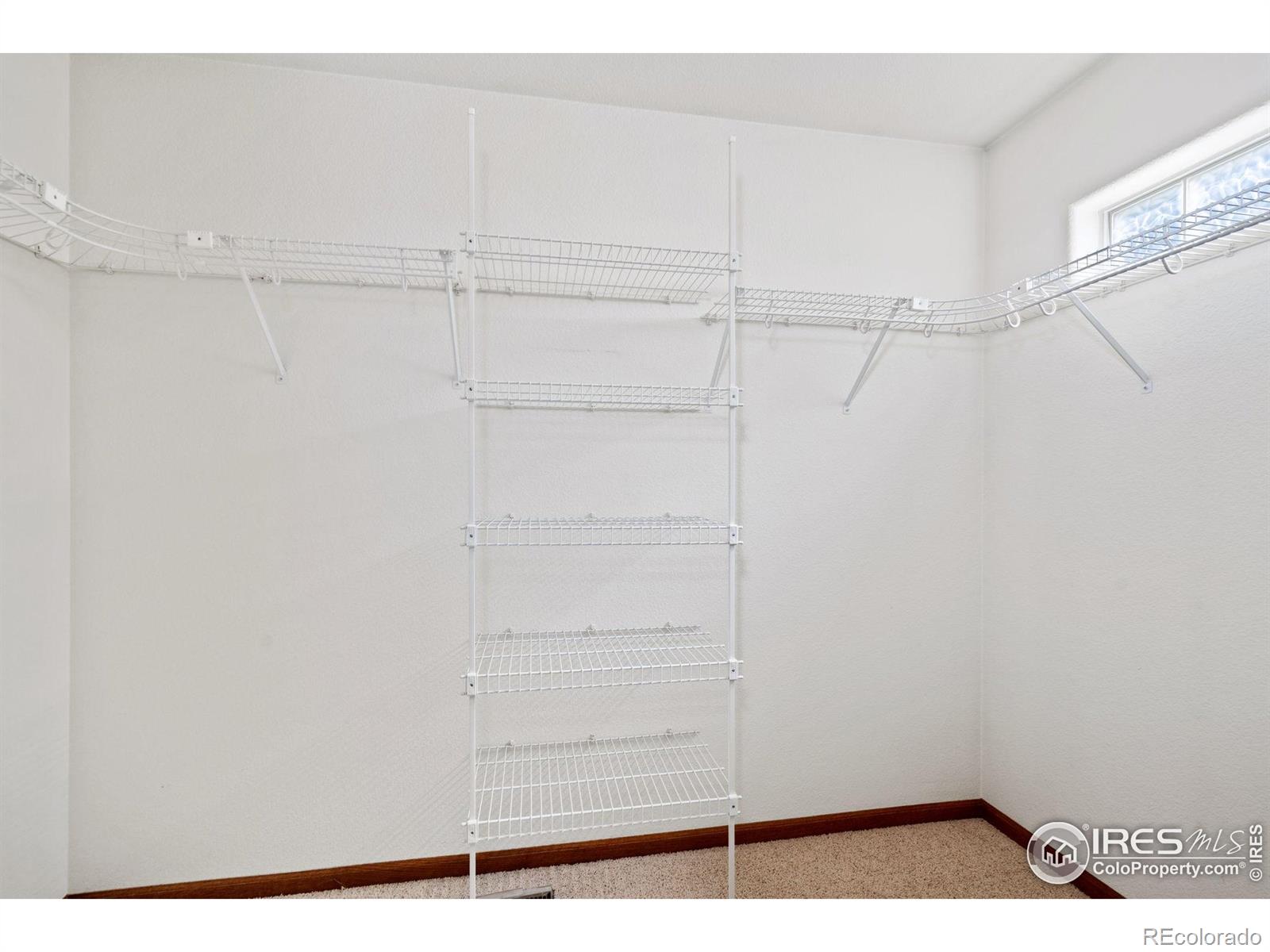 MLS Image #22 for 2614  forsythia drive,loveland, Colorado