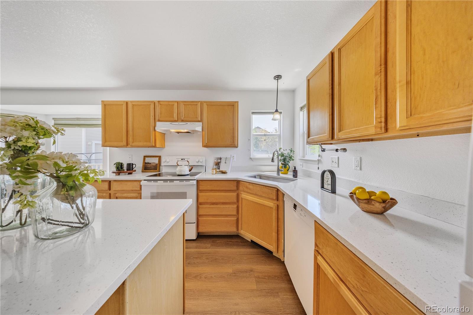 MLS Image #9 for 1697  buckskin avenue,brighton, Colorado