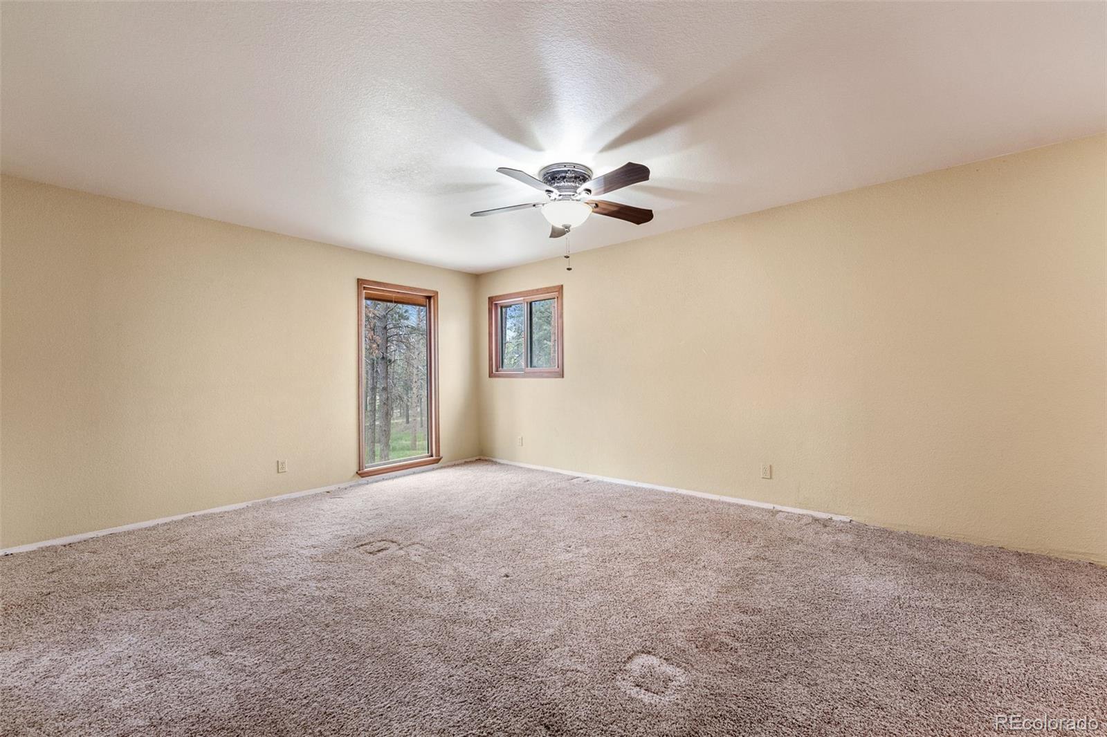MLS Image #12 for 12150  greentree lane,colorado springs, Colorado