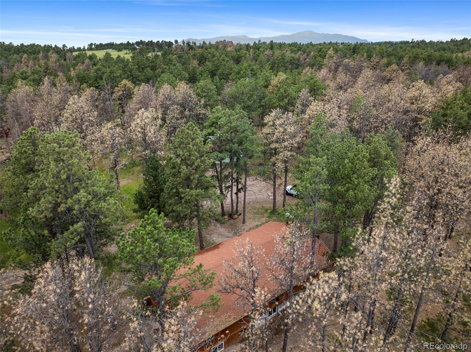 MLS Image #46 for 12150  greentree lane,colorado springs, Colorado