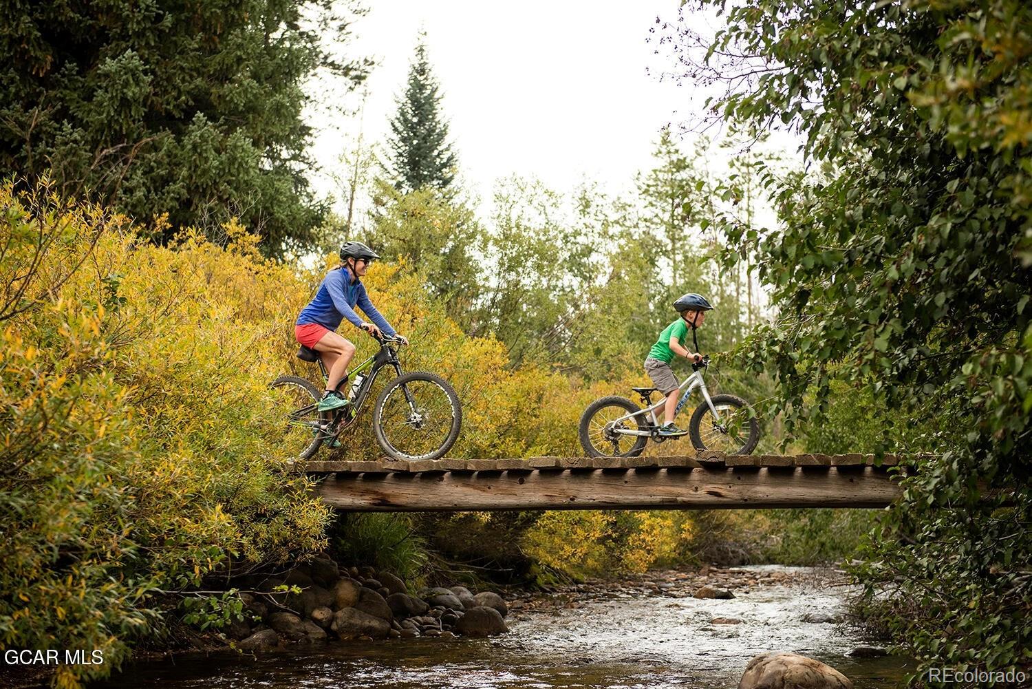 MLS Image #24 for 159  hi country drive,winter park, Colorado