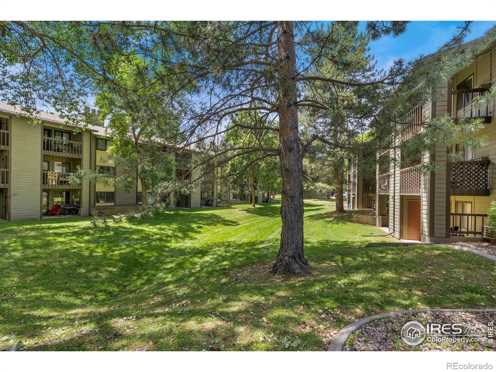 MLS Image #19 for 925  columbia road,fort collins, Colorado