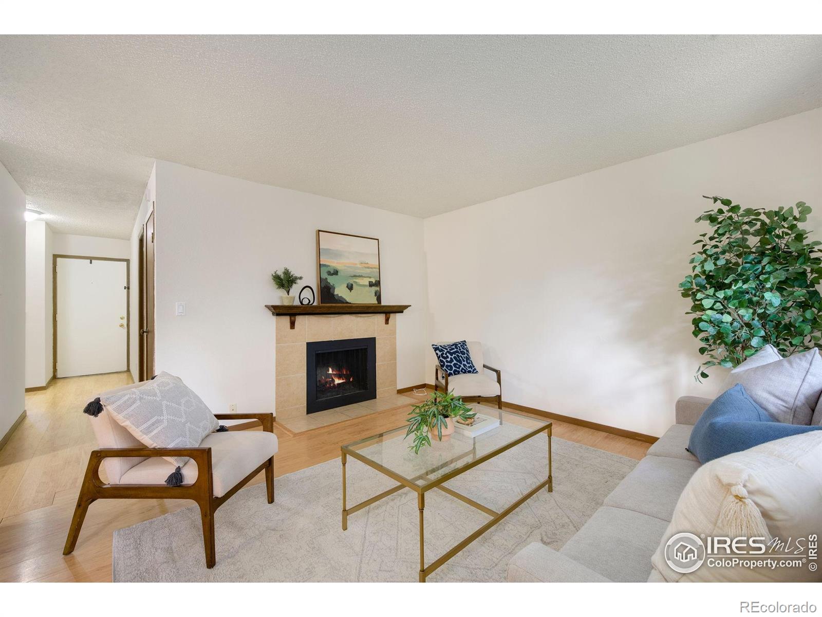 MLS Image #3 for 925  columbia road,fort collins, Colorado