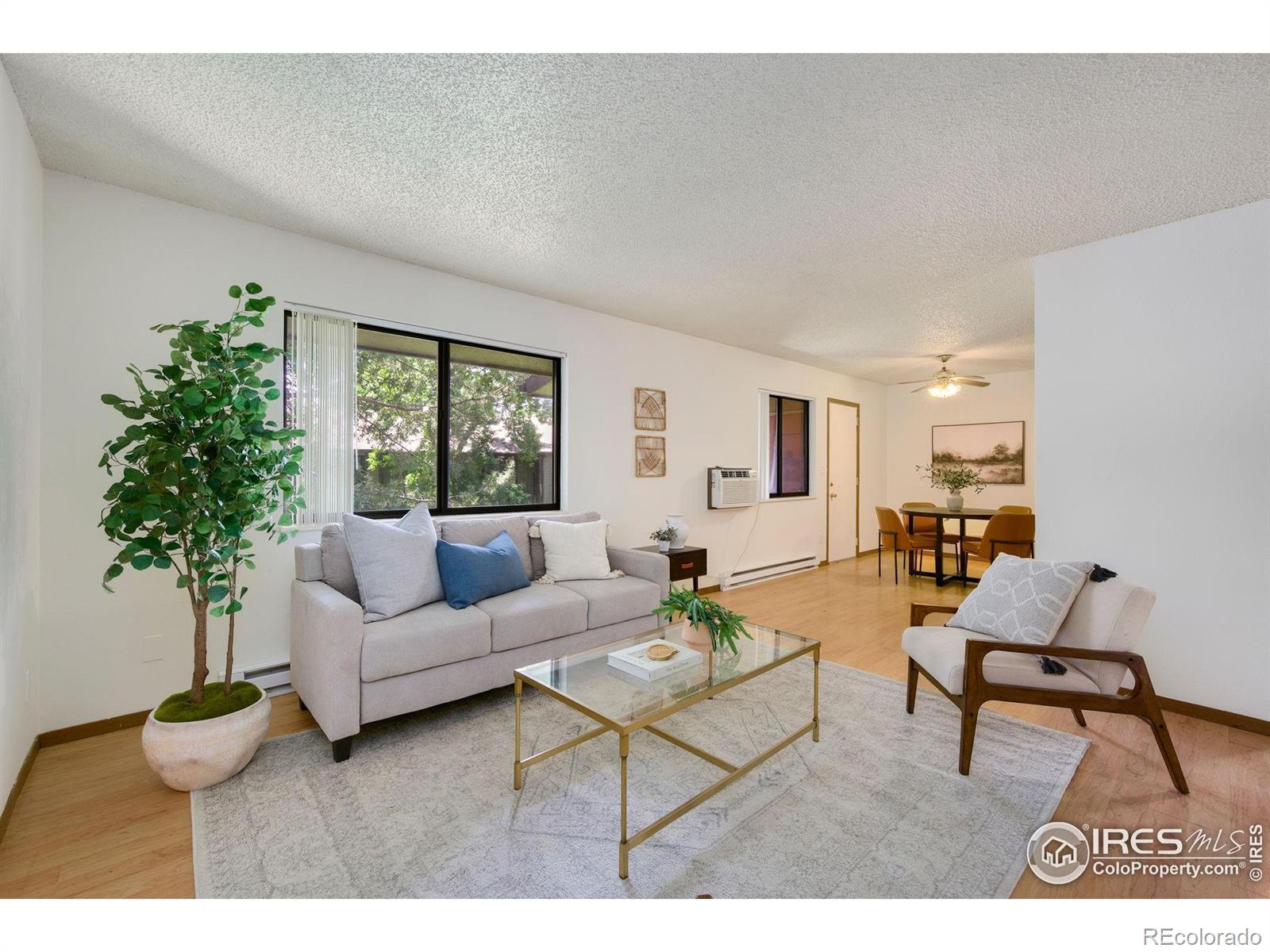 MLS Image #5 for 925  columbia road,fort collins, Colorado