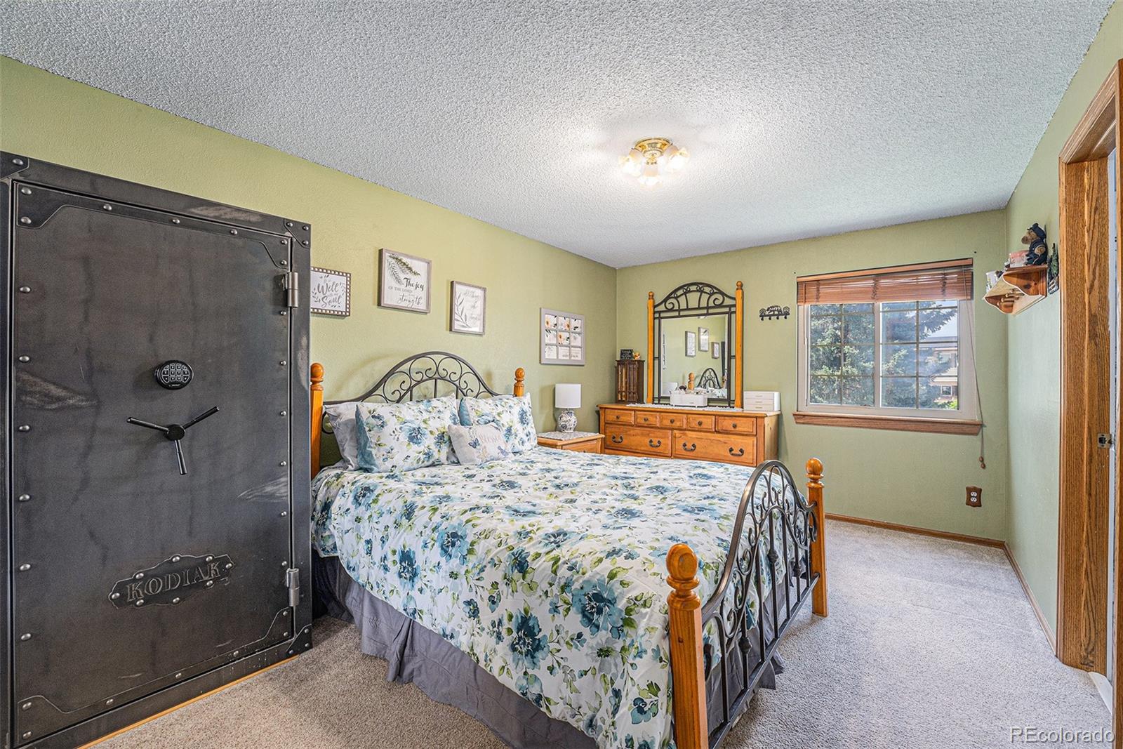 MLS Image #10 for 12244  clermont court,thornton, Colorado
