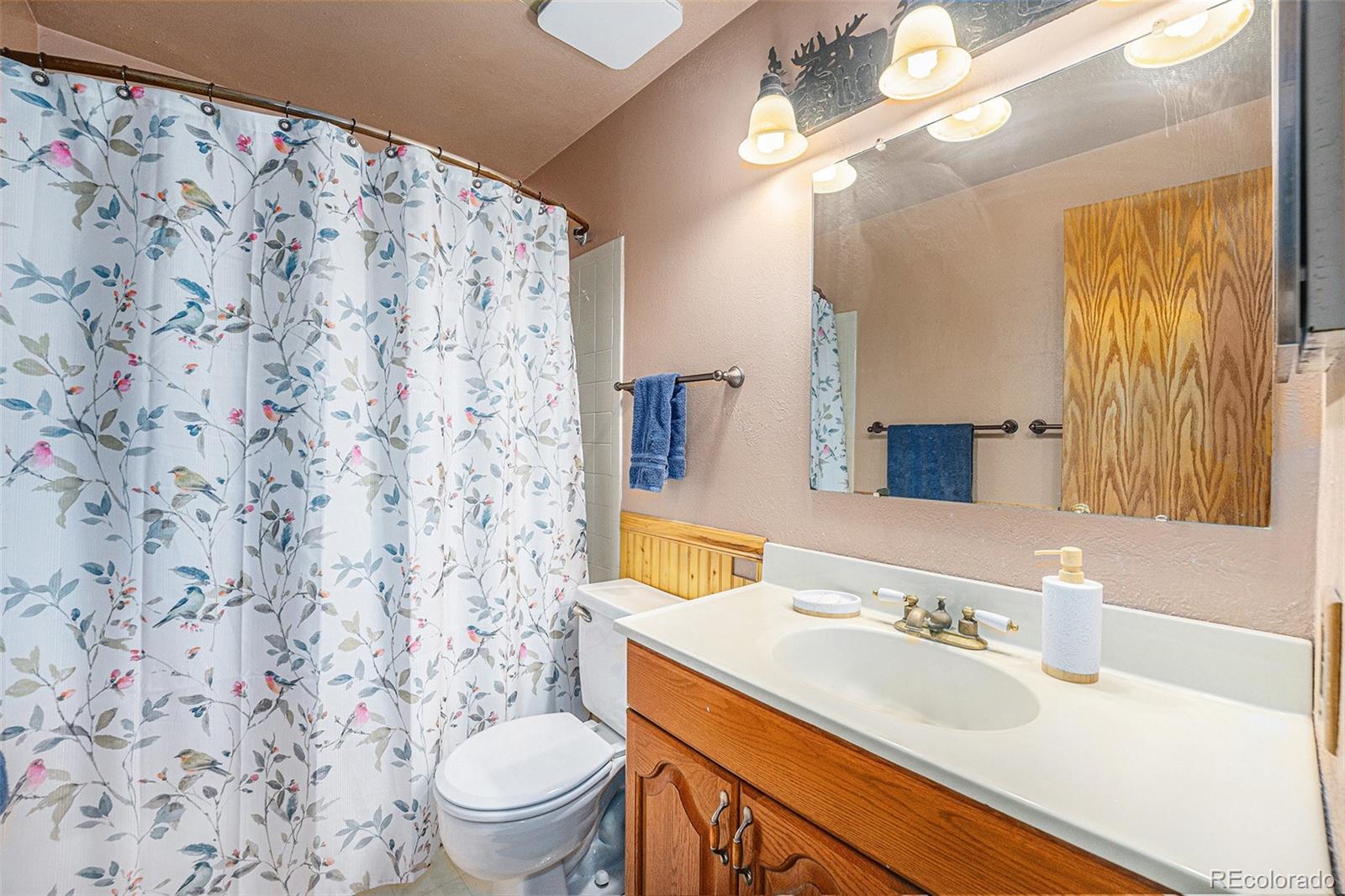 MLS Image #14 for 12244  clermont court,thornton, Colorado