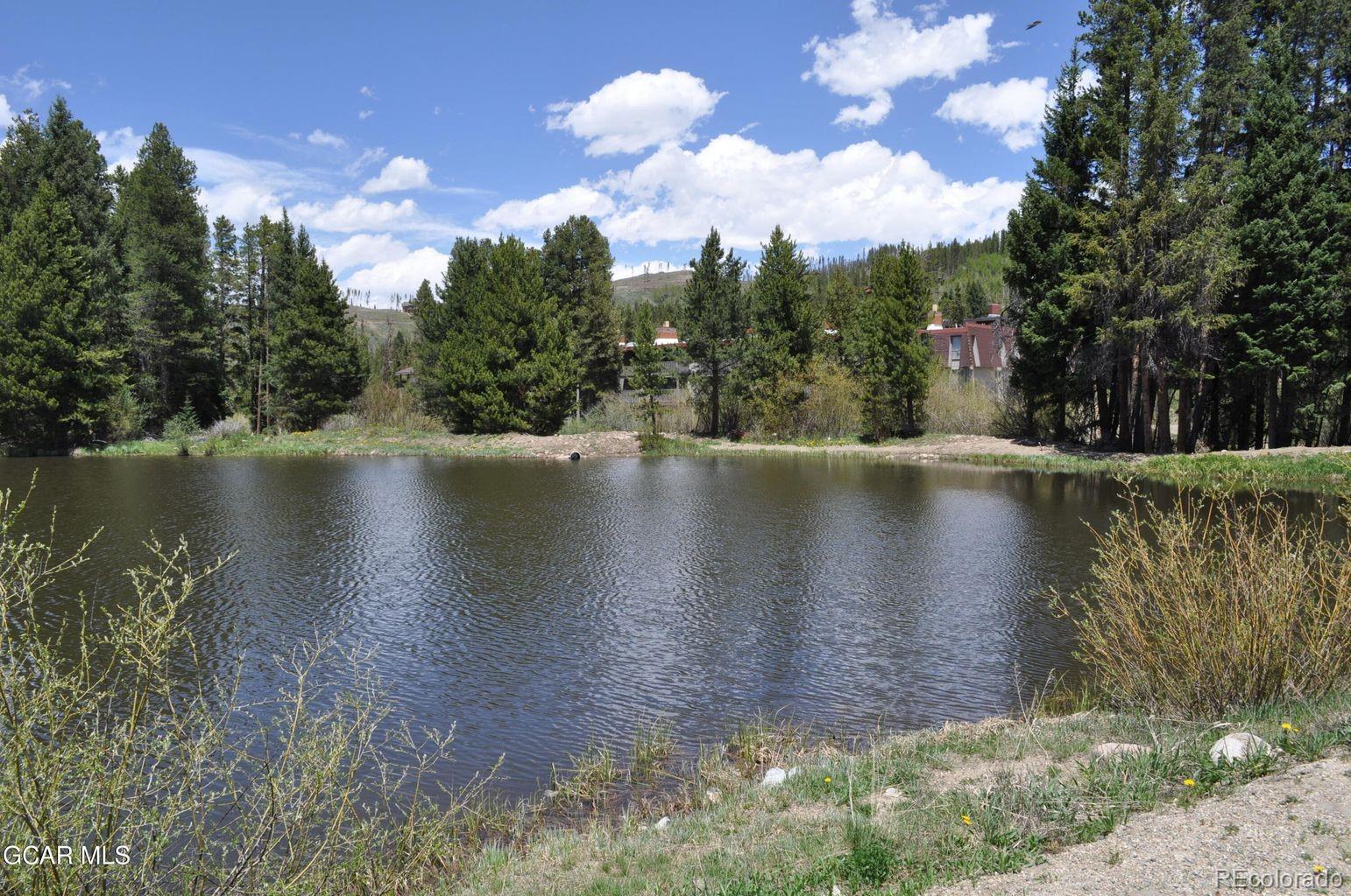 MLS Image #44 for 51  river drive,winter park, Colorado