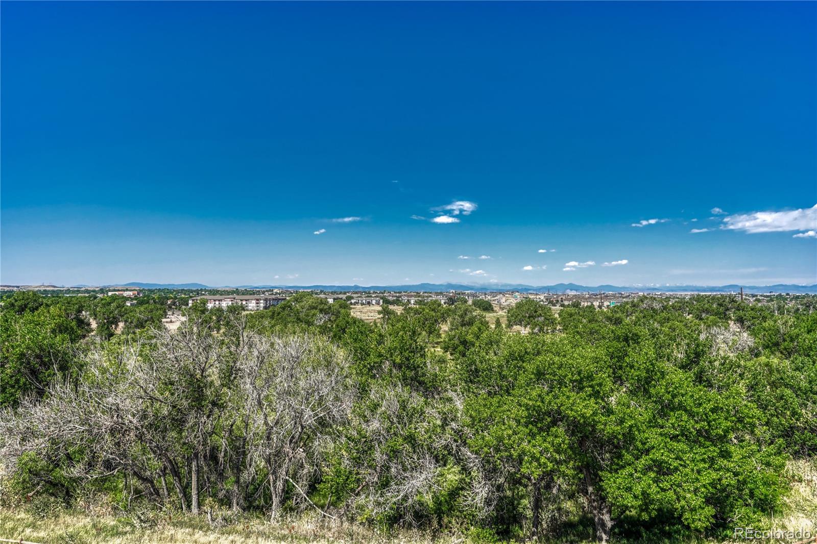 MLS Image #24 for 9291  twenty mile road,parker, Colorado