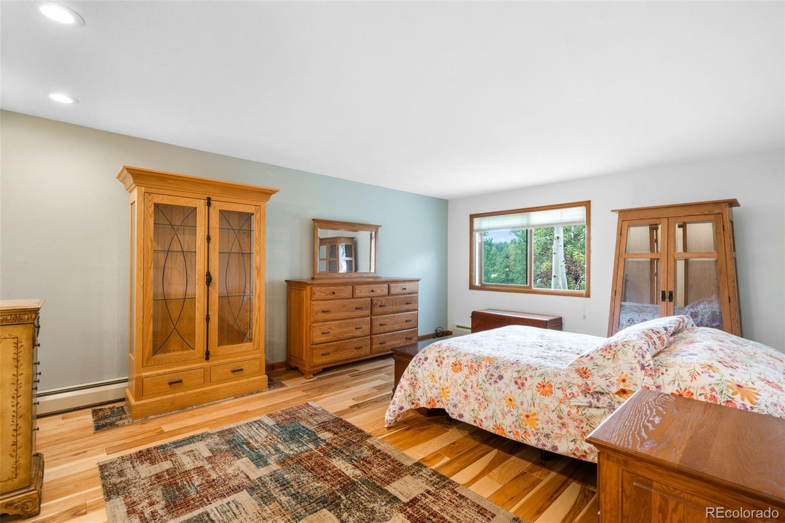 MLS Image #9 for 5000  elizabeth lane,evergreen, Colorado