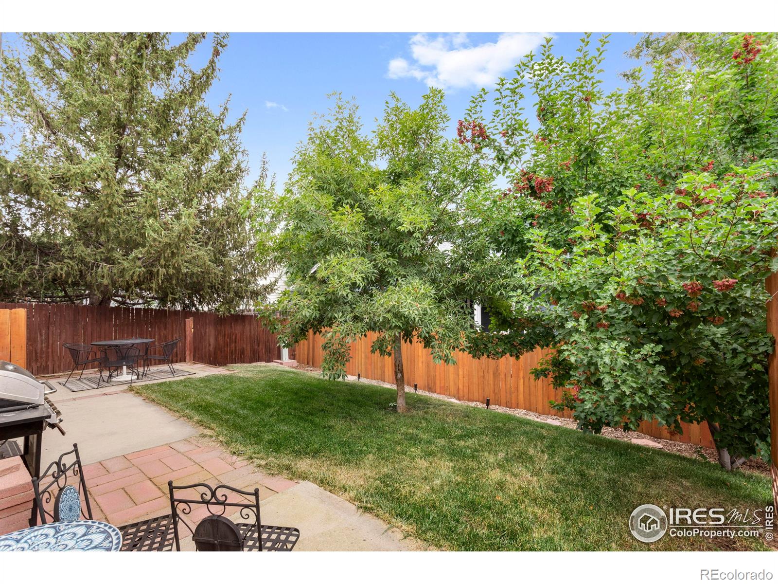 MLS Image #34 for 331  sagewood drive,loveland, Colorado