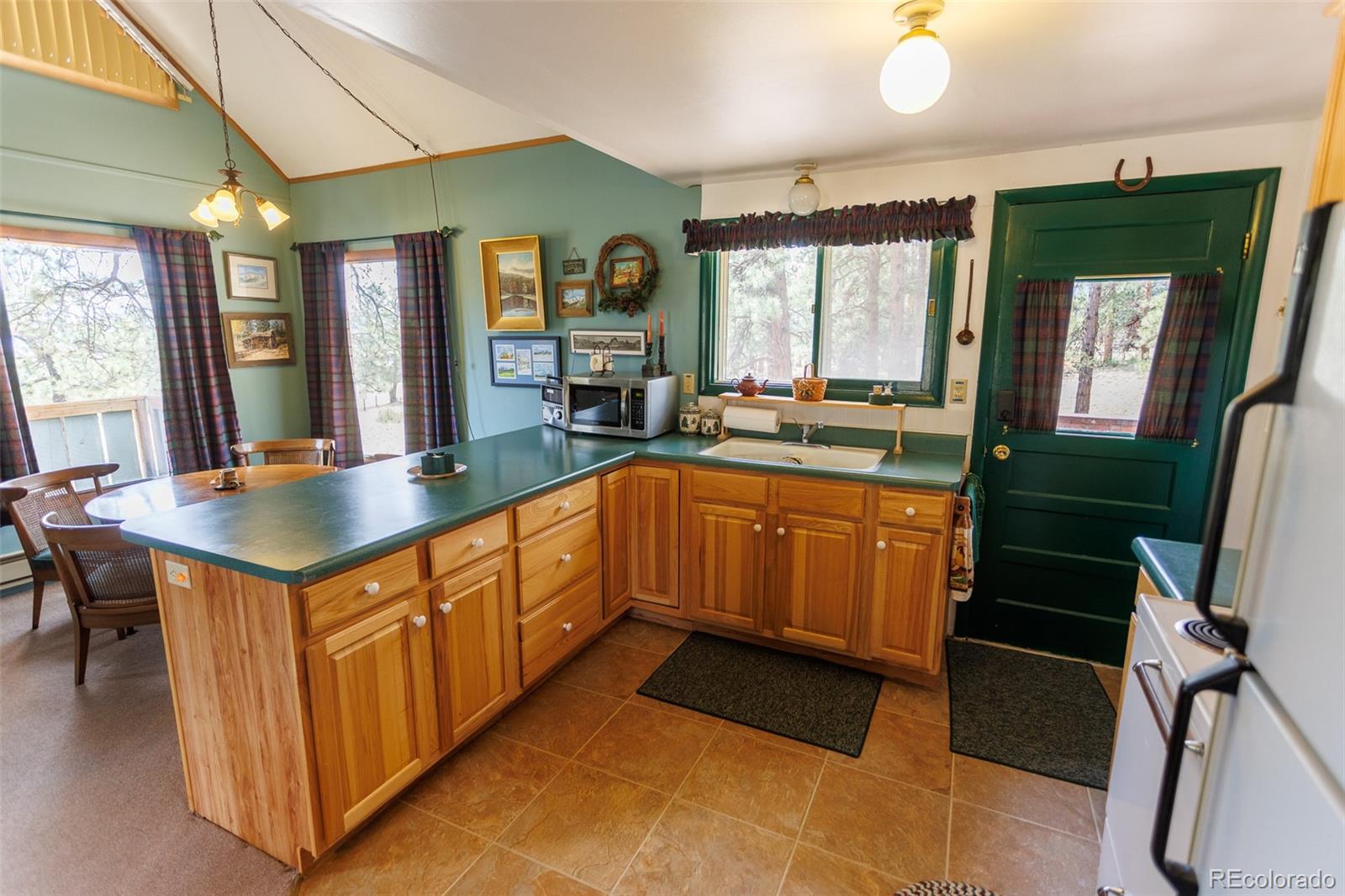 MLS Image #15 for 18240  trail west drive,buena vista, Colorado
