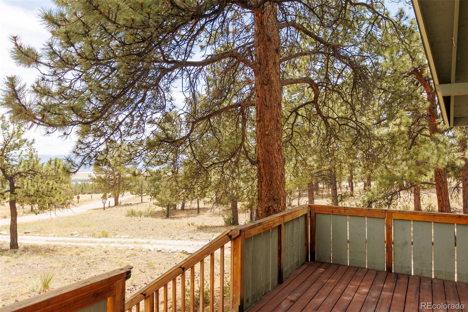 MLS Image #23 for 18240  trail west drive,buena vista, Colorado