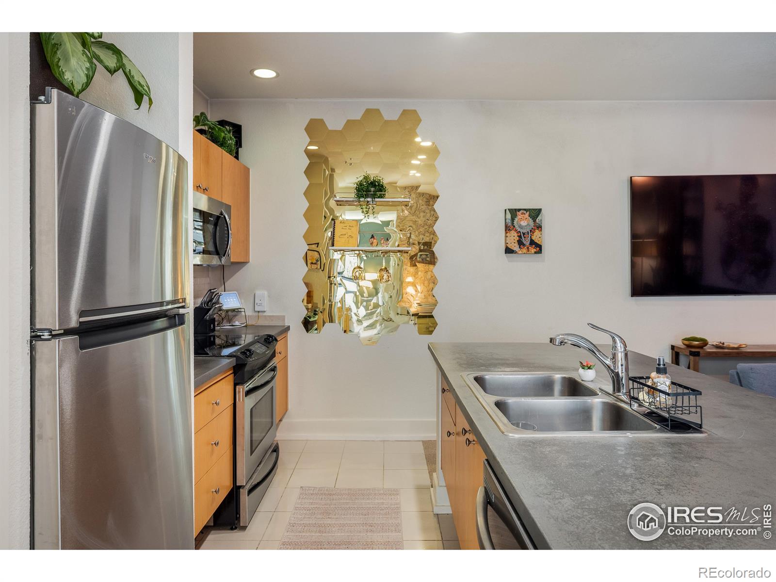 MLS Image #9 for 801  confidence drive,longmont, Colorado