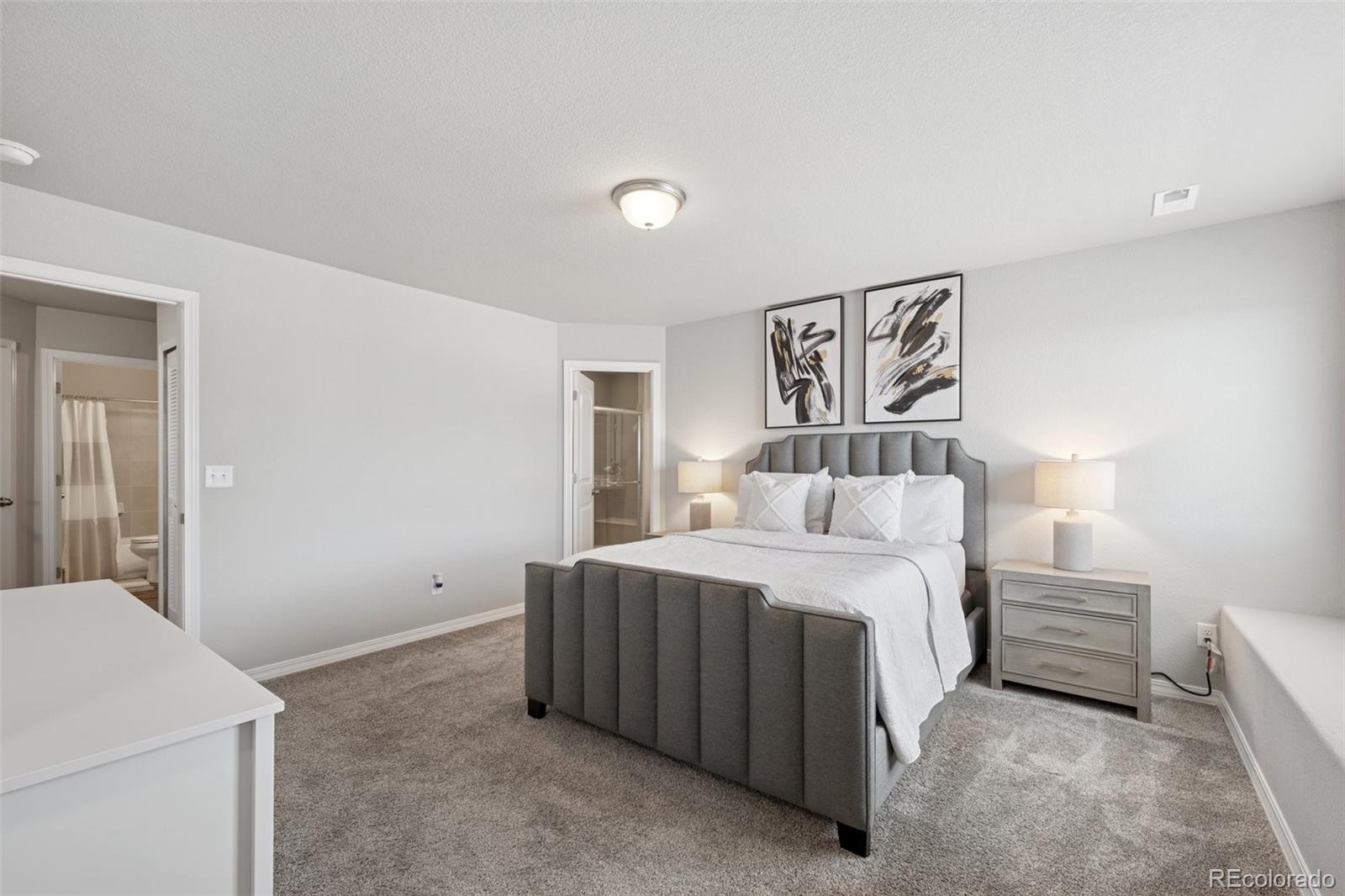 MLS Image #11 for 11372  esperanza way,fountain, Colorado