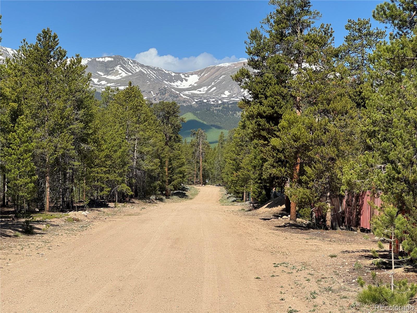 MLS Image #13 for 379  spruce drive,leadville, Colorado