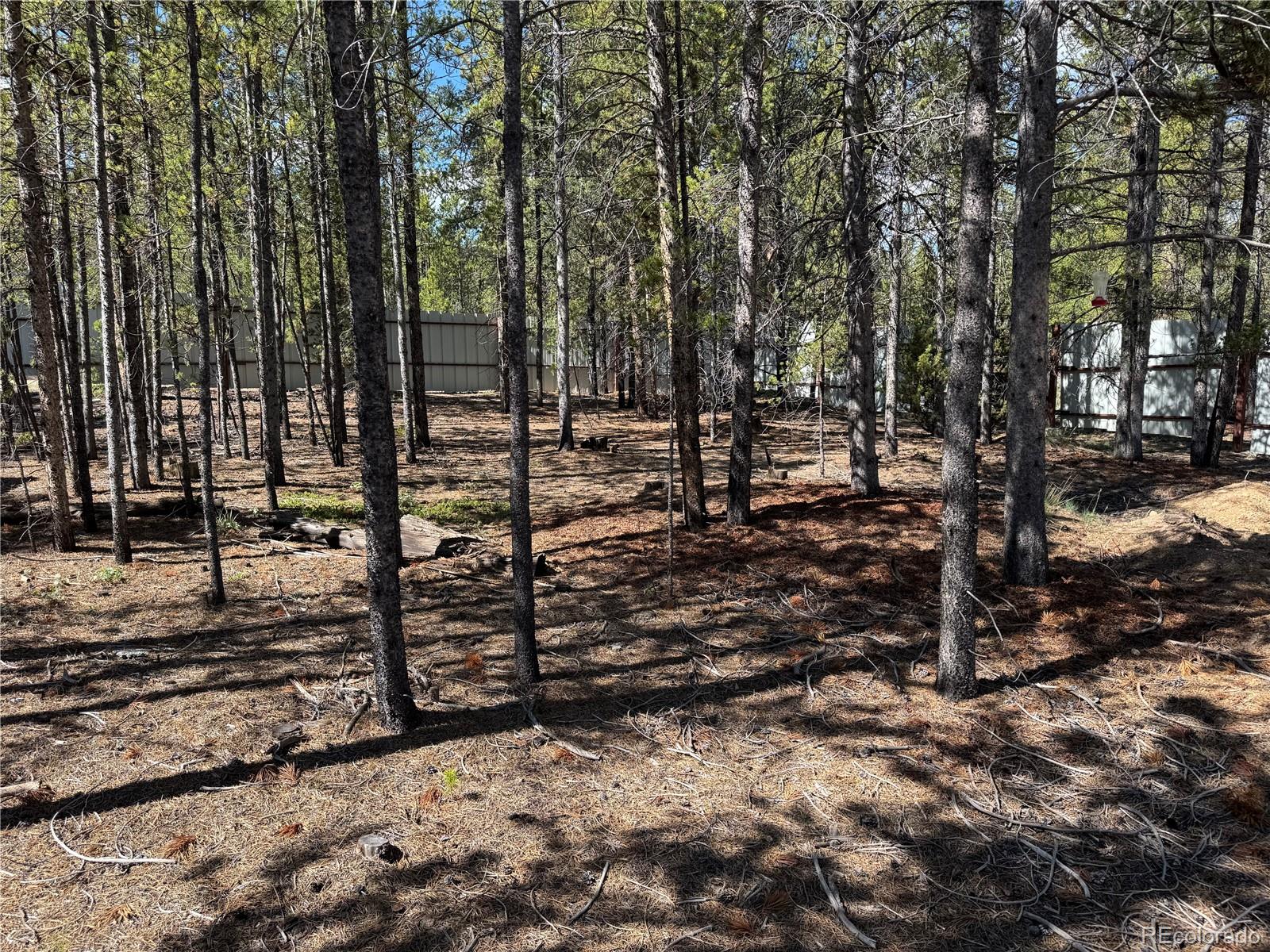 MLS Image #4 for 379  spruce drive,leadville, Colorado