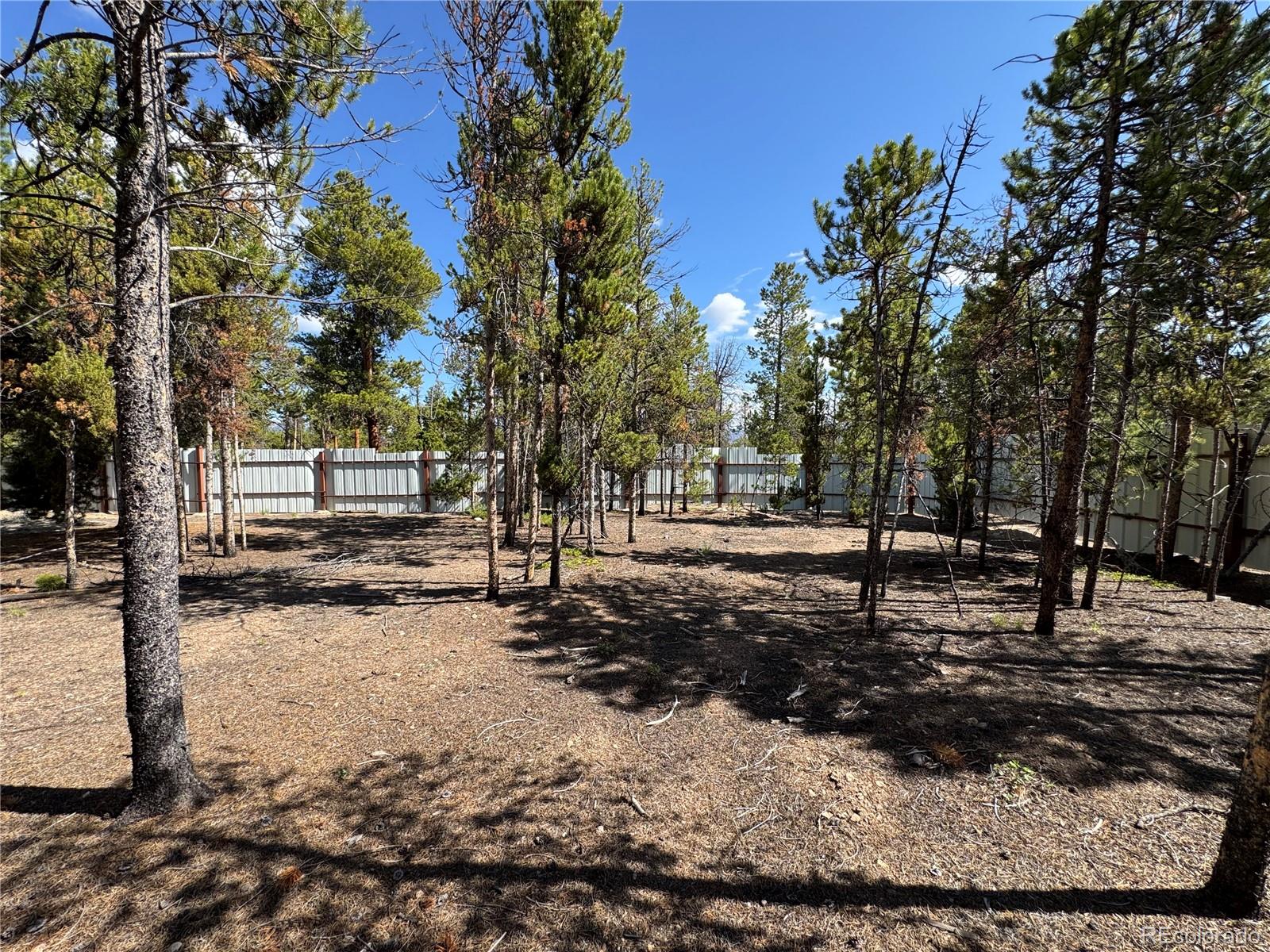 MLS Image #7 for 379  spruce drive,leadville, Colorado