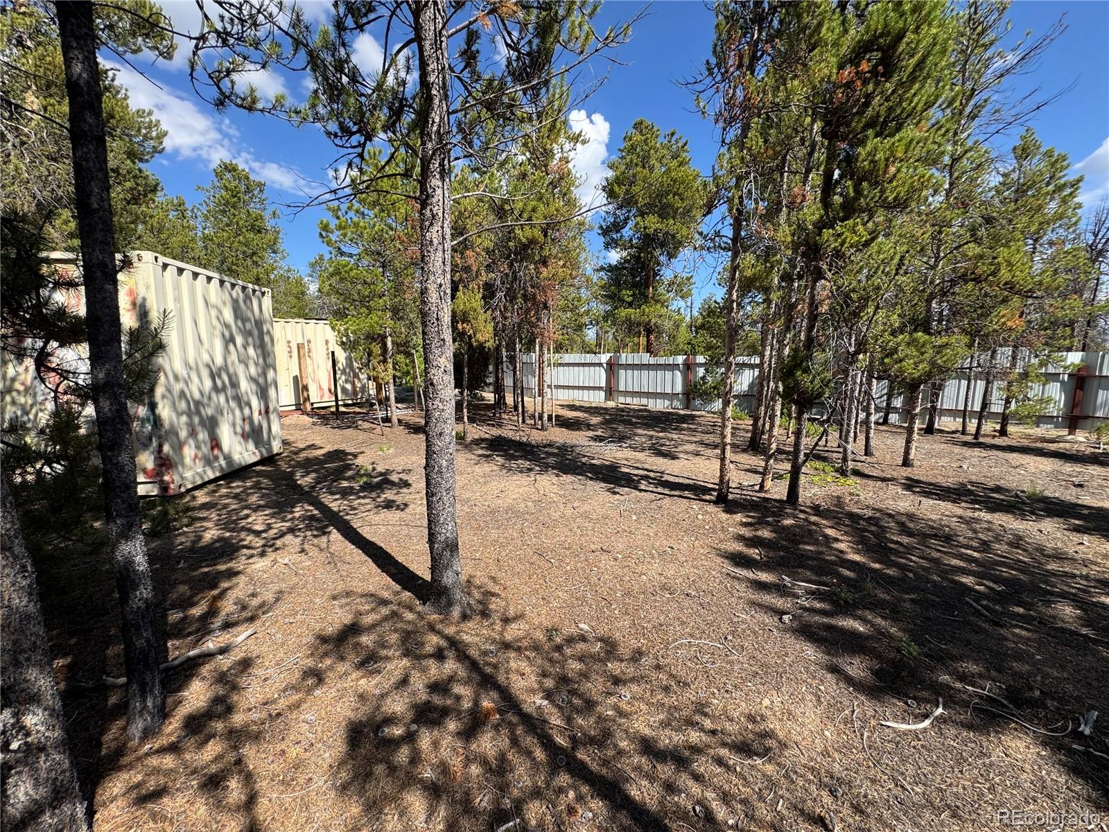 MLS Image #8 for 379  spruce drive,leadville, Colorado