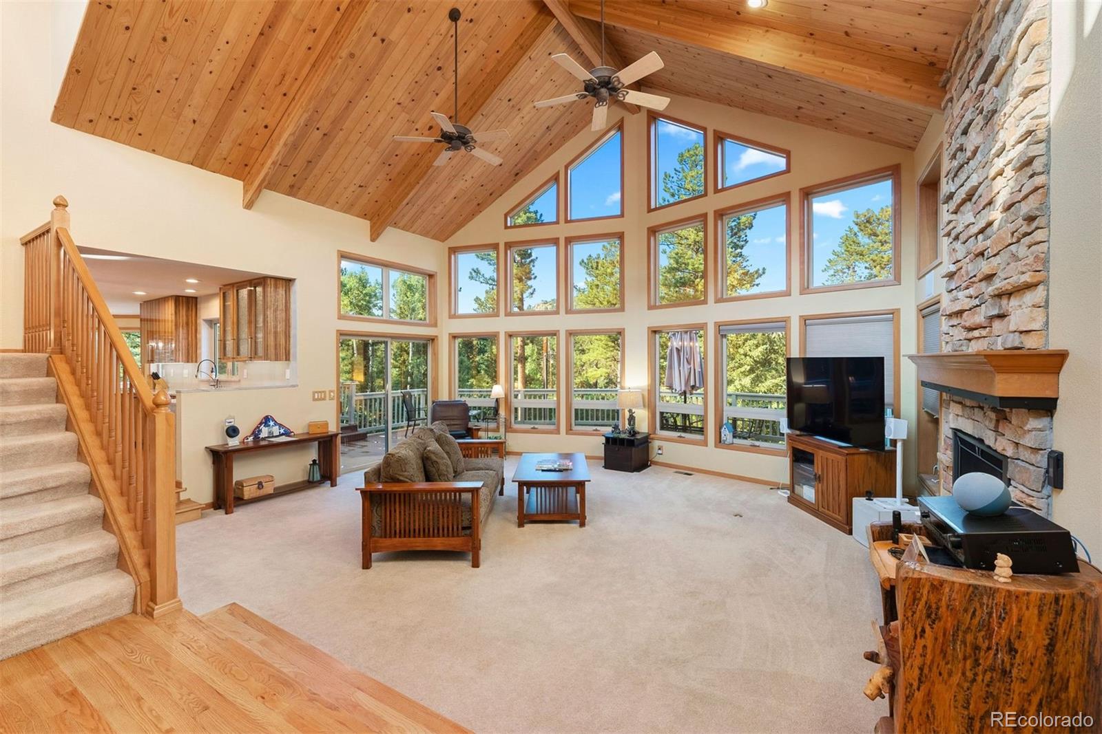 MLS Image #14 for 9948 s turkey creek road,morrison, Colorado