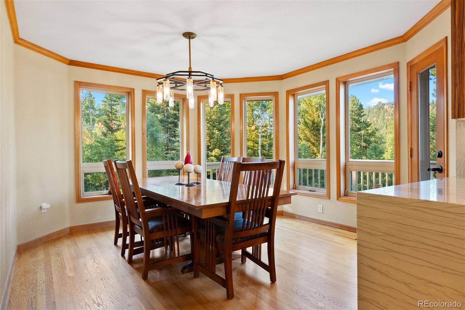MLS Image #16 for 9948 s turkey creek road,morrison, Colorado