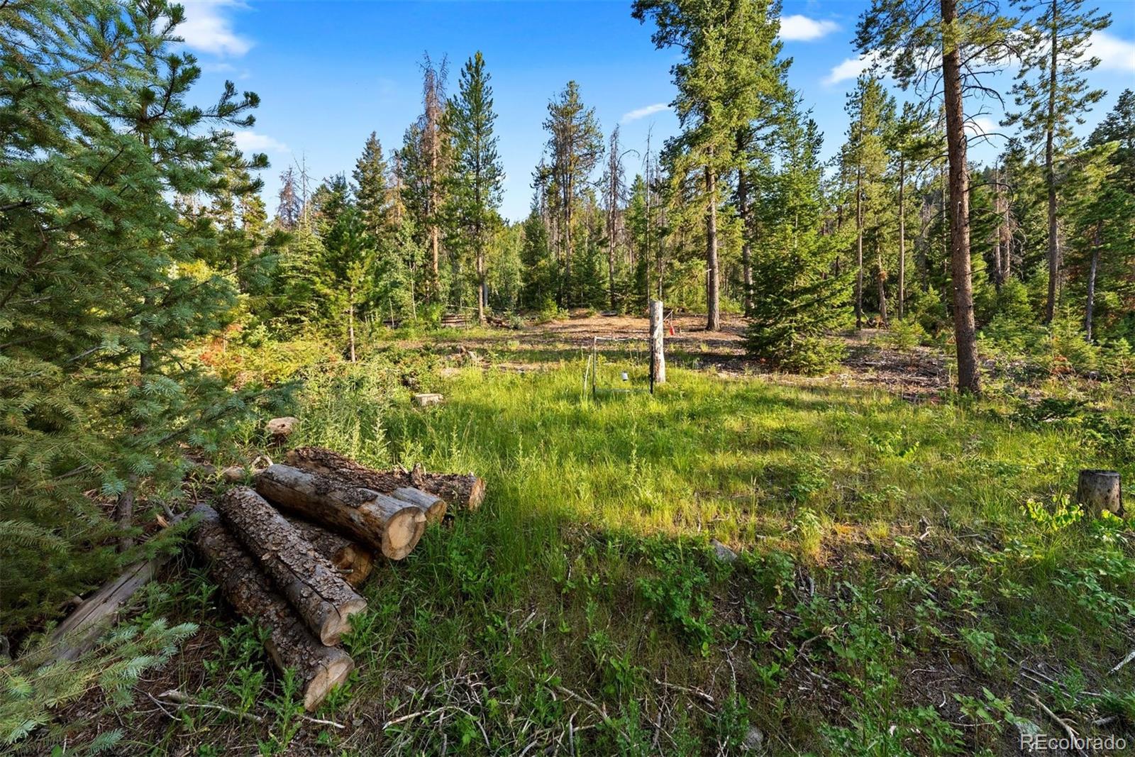MLS Image #20 for 9948 s turkey creek road,morrison, Colorado