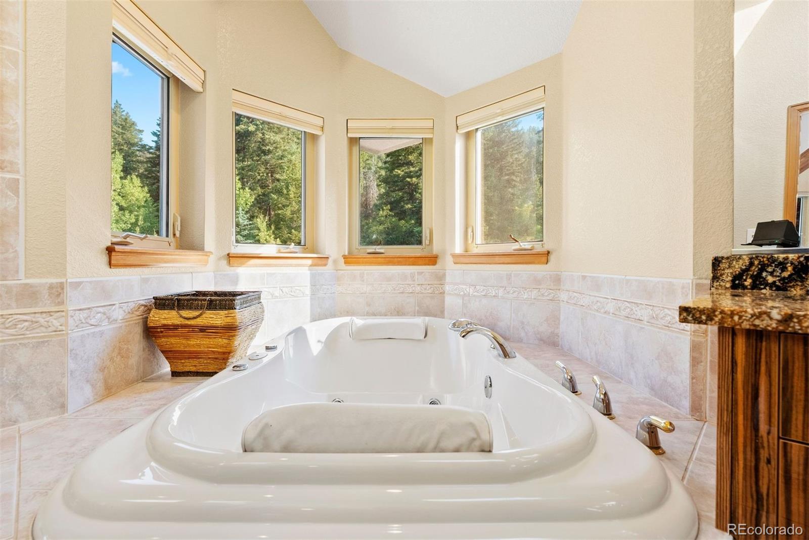 MLS Image #24 for 9948 s turkey creek road,morrison, Colorado