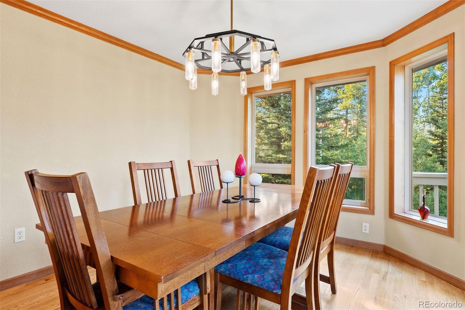 MLS Image #44 for 9948 s turkey creek road,morrison, Colorado