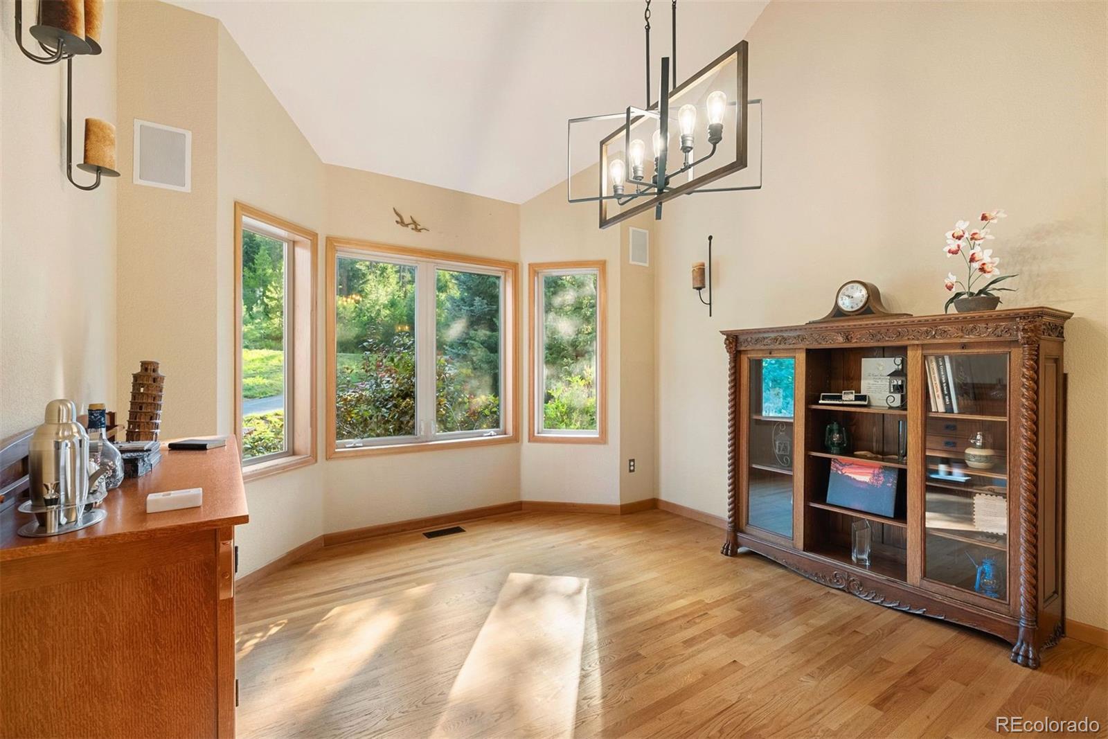 MLS Image #46 for 9948 s turkey creek road,morrison, Colorado