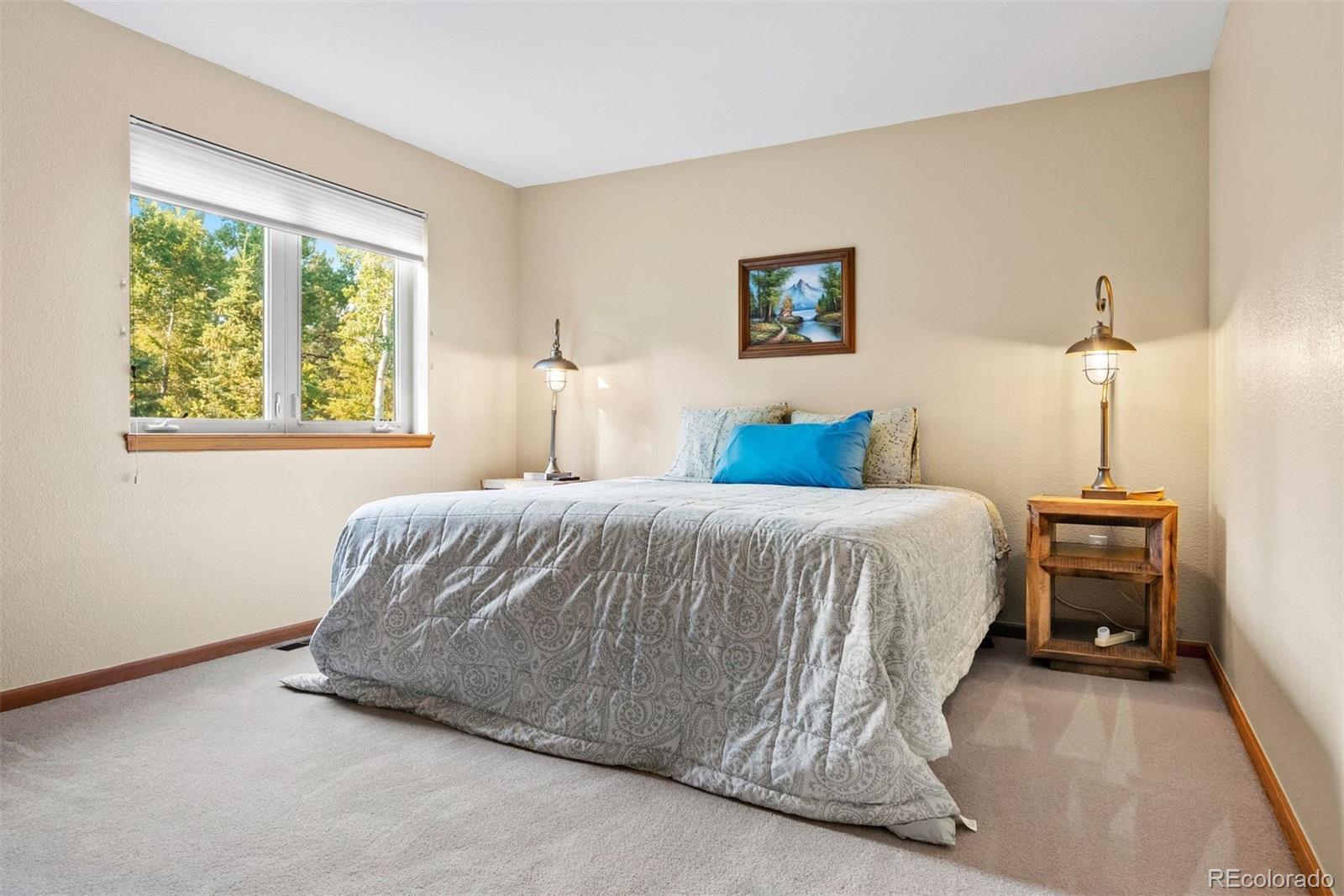 MLS Image #48 for 9948 s turkey creek road,morrison, Colorado