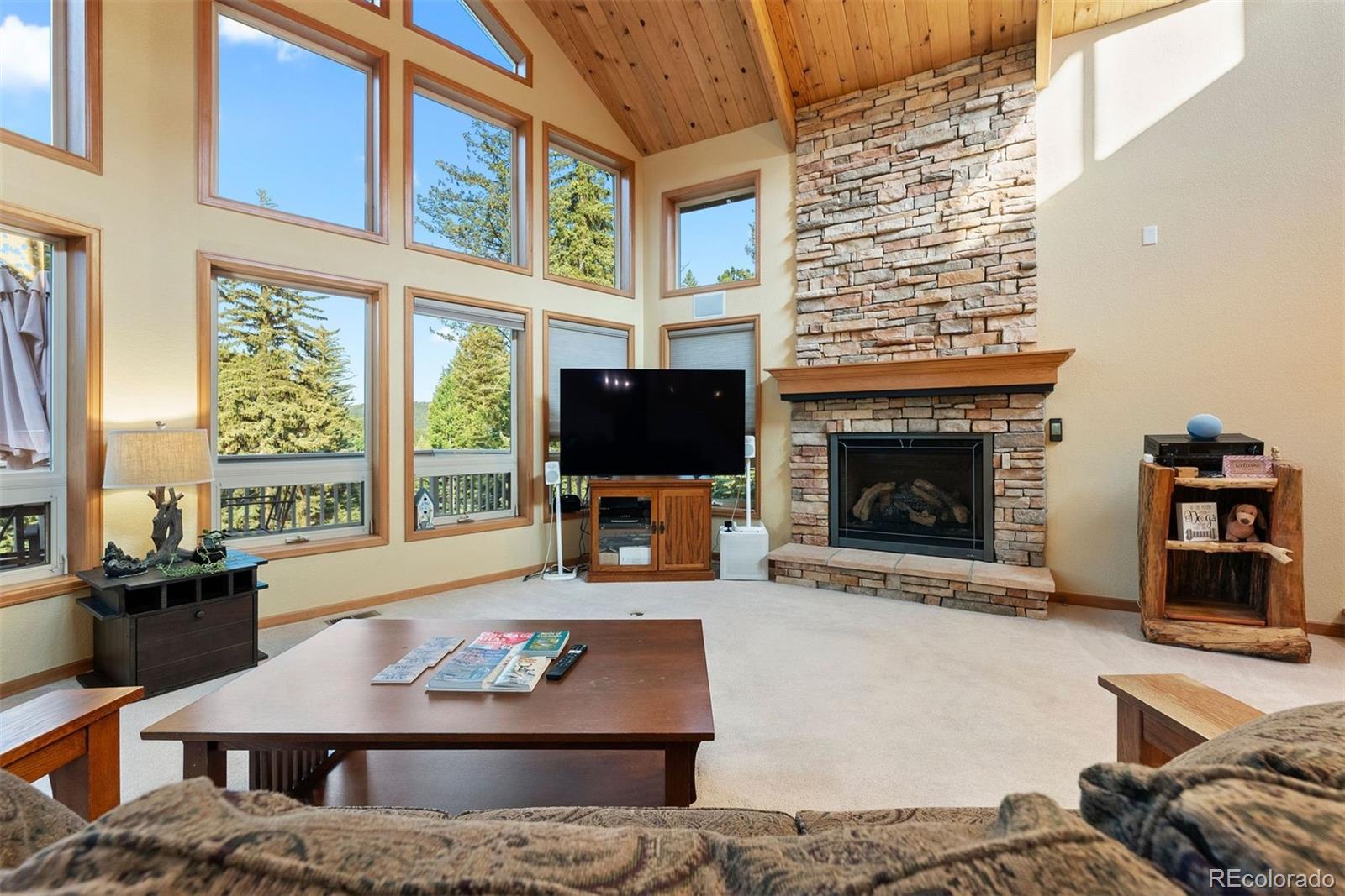 MLS Image #7 for 9948 s turkey creek road,morrison, Colorado