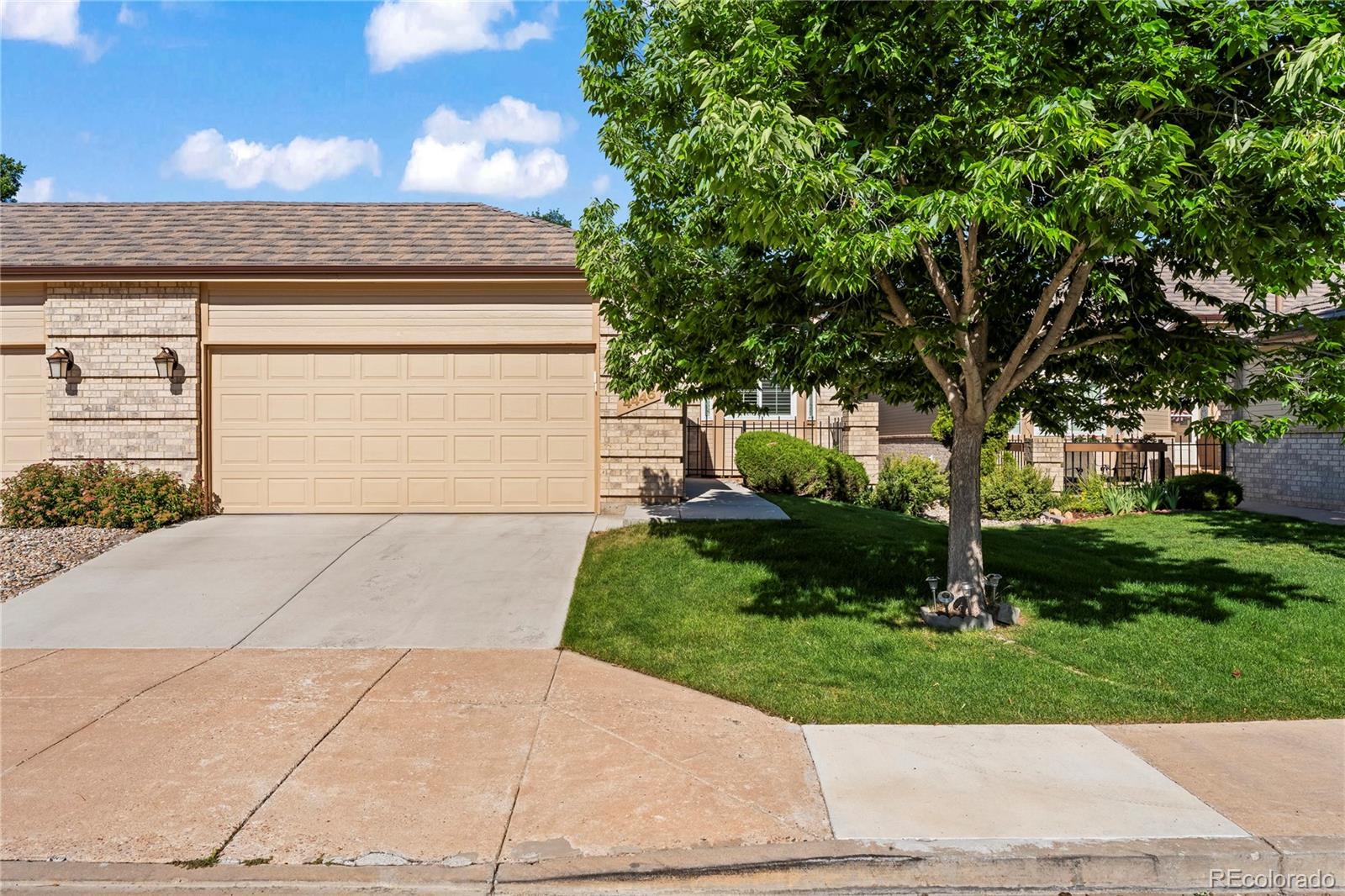 MLS Image #2 for 4446  spiceglen drive,colorado springs, Colorado