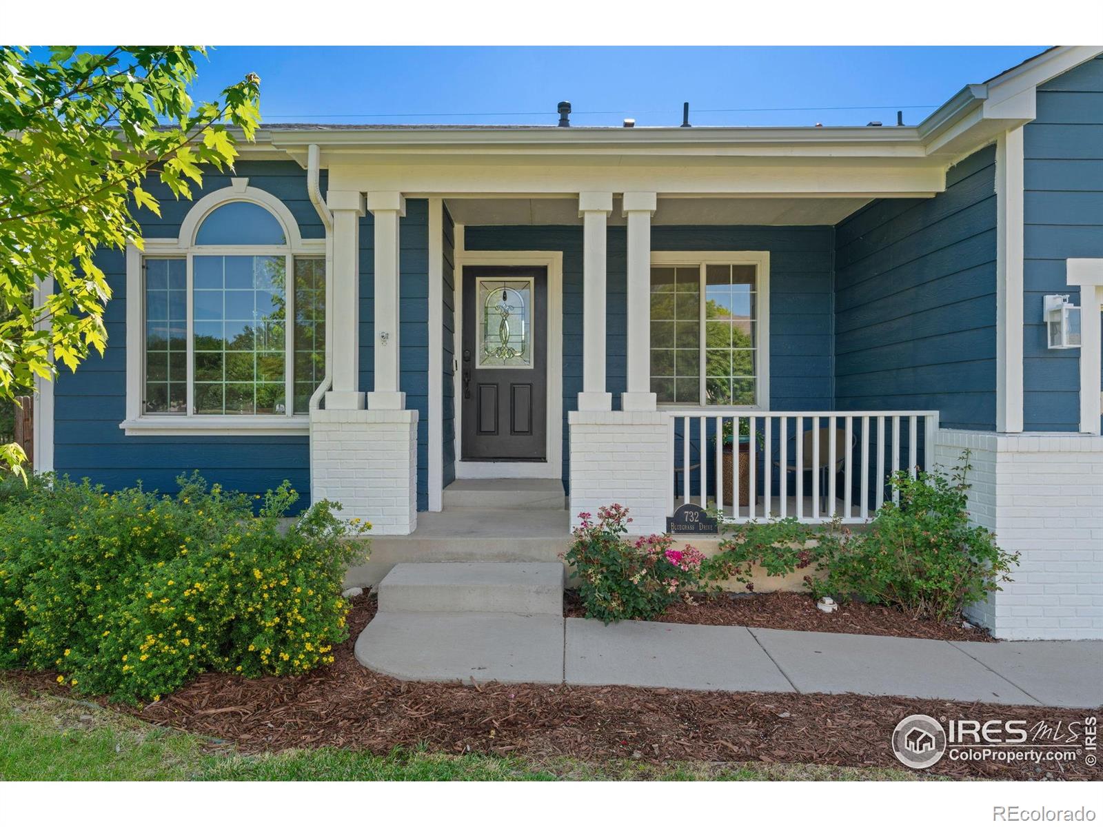 MLS Image #3 for 732  bluegrass drive,longmont, Colorado