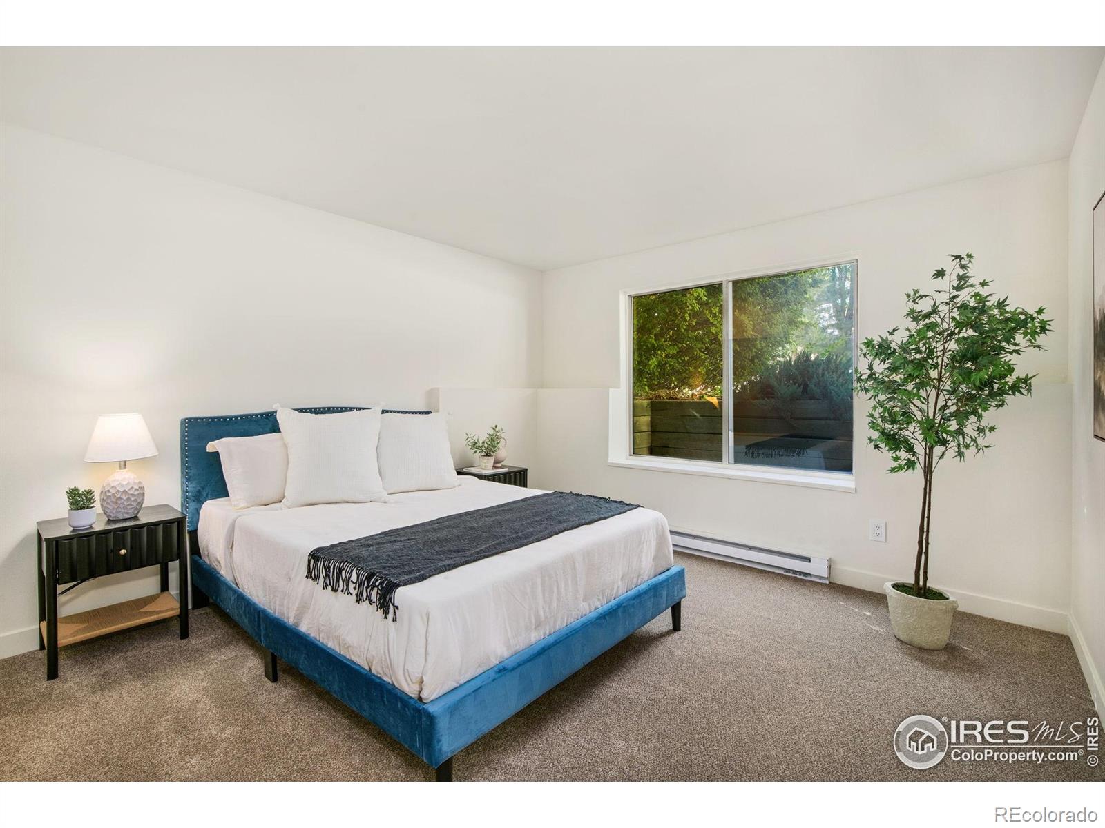 MLS Image #10 for 3465  lochwood drive,fort collins, Colorado