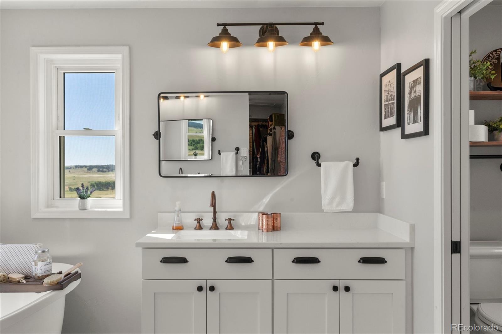 MLS Image #23 for 41419  deer creek circle,parker, Colorado