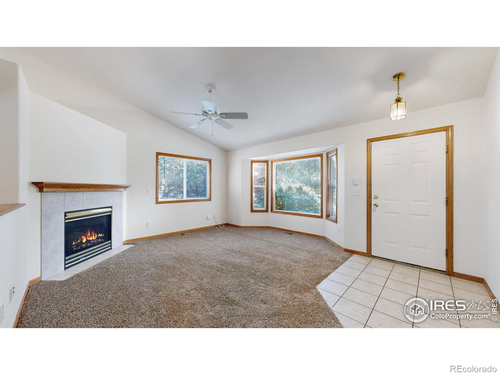 MLS Image #6 for 393  lavastone avenue,loveland, Colorado