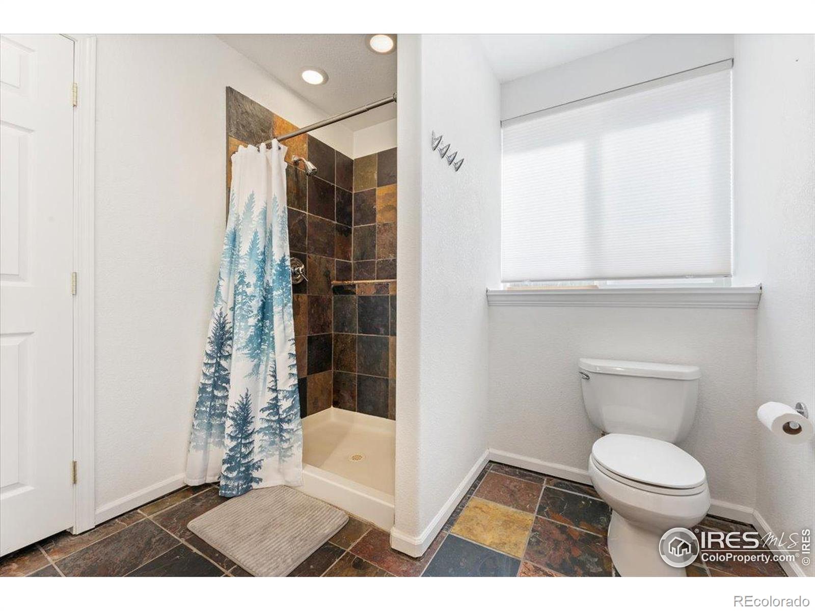 MLS Image #30 for 1534  box prairie circle,loveland, Colorado