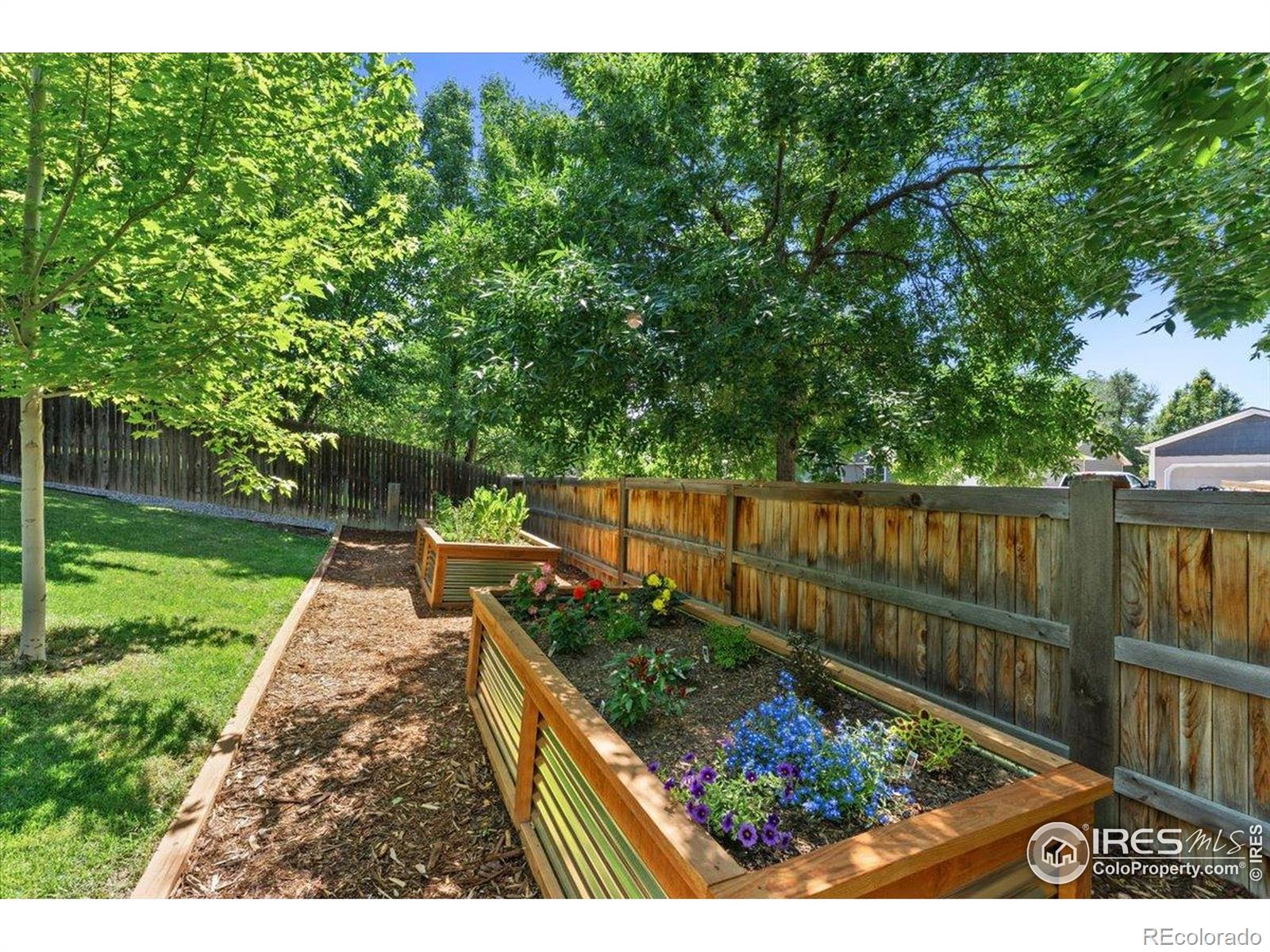 MLS Image #35 for 1534  box prairie circle,loveland, Colorado