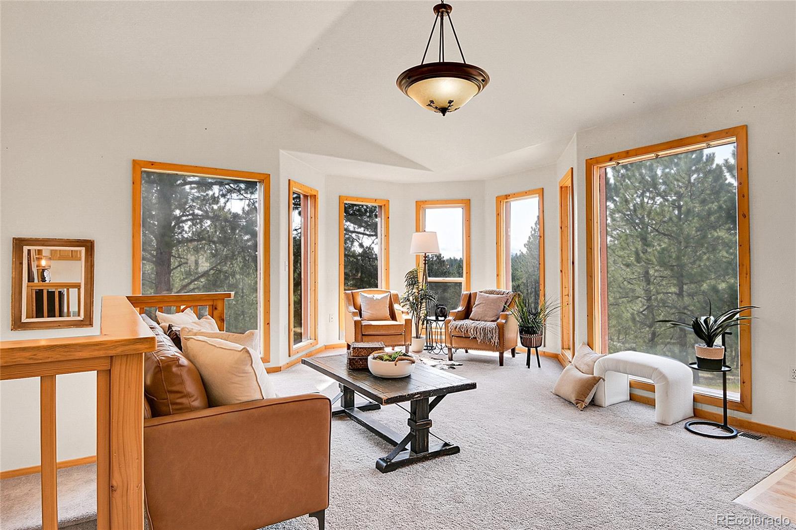 MLS Image #10 for 303  kudu trail,bailey, Colorado