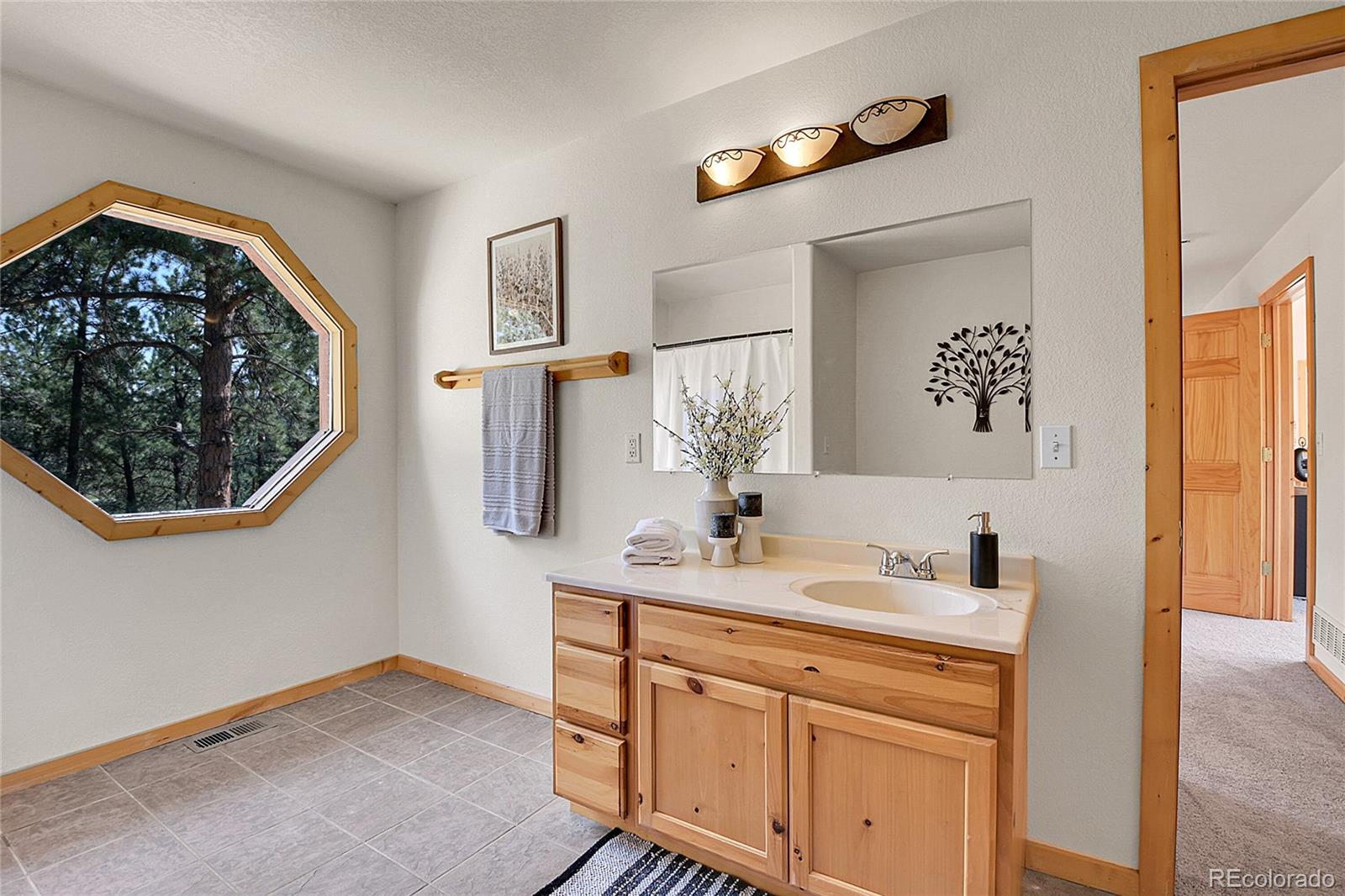 MLS Image #17 for 303  kudu trail,bailey, Colorado