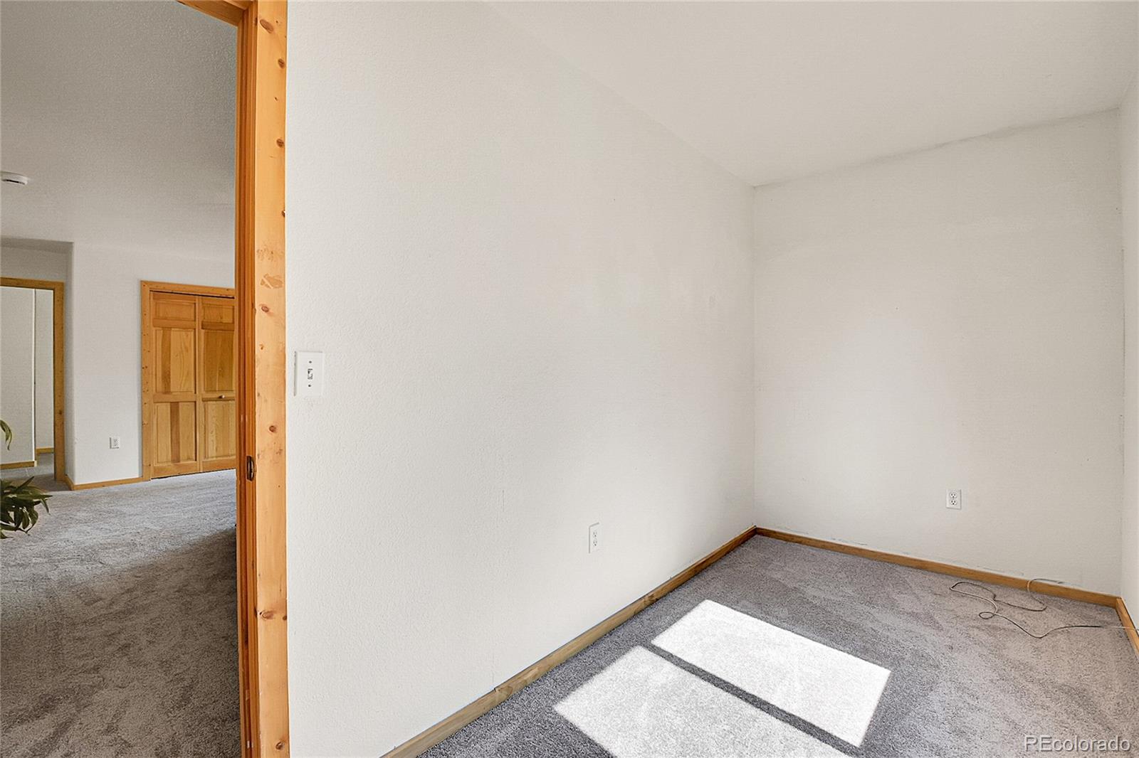 MLS Image #18 for 303  kudu trail,bailey, Colorado