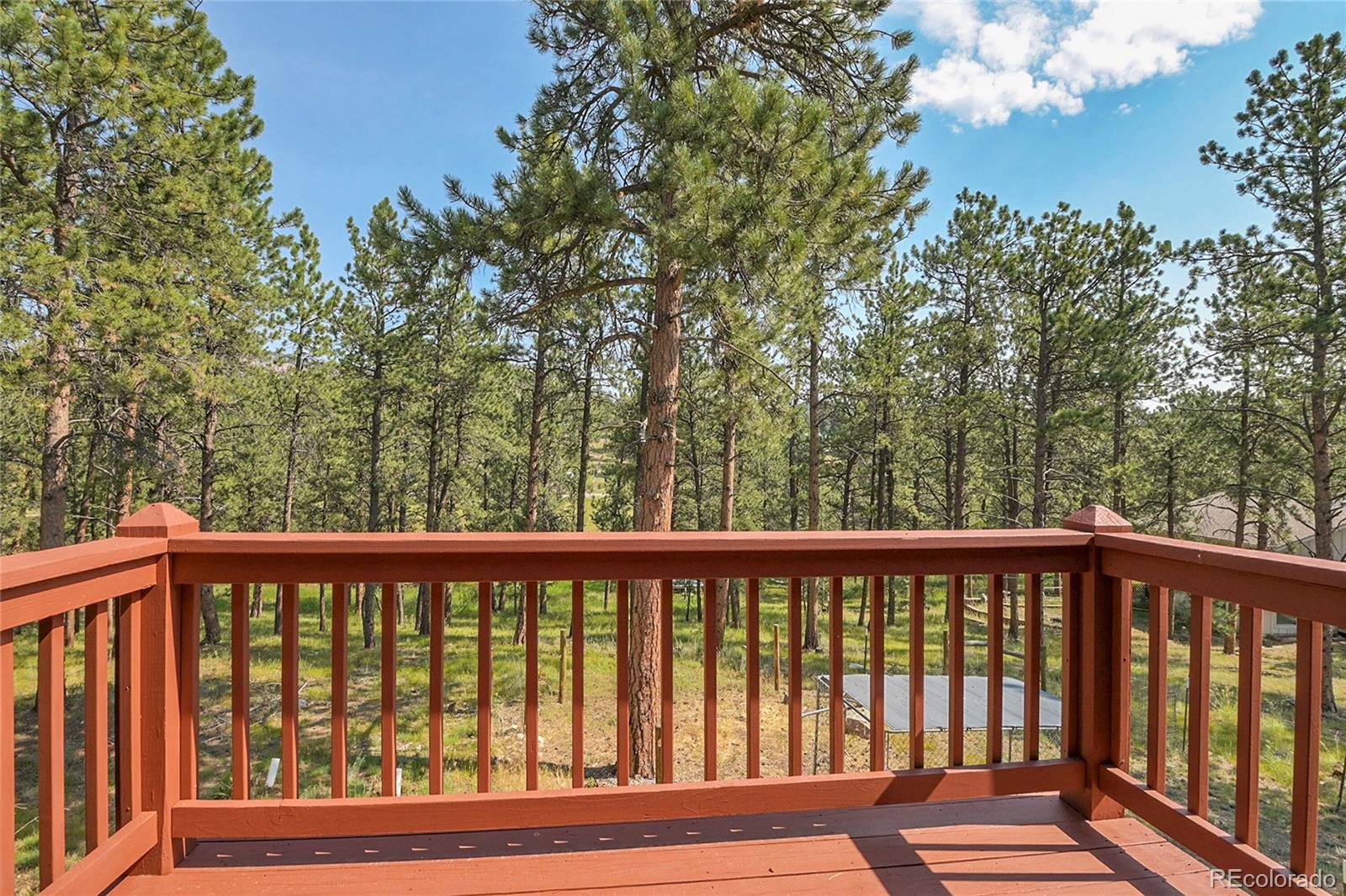 MLS Image #19 for 303  kudu trail,bailey, Colorado