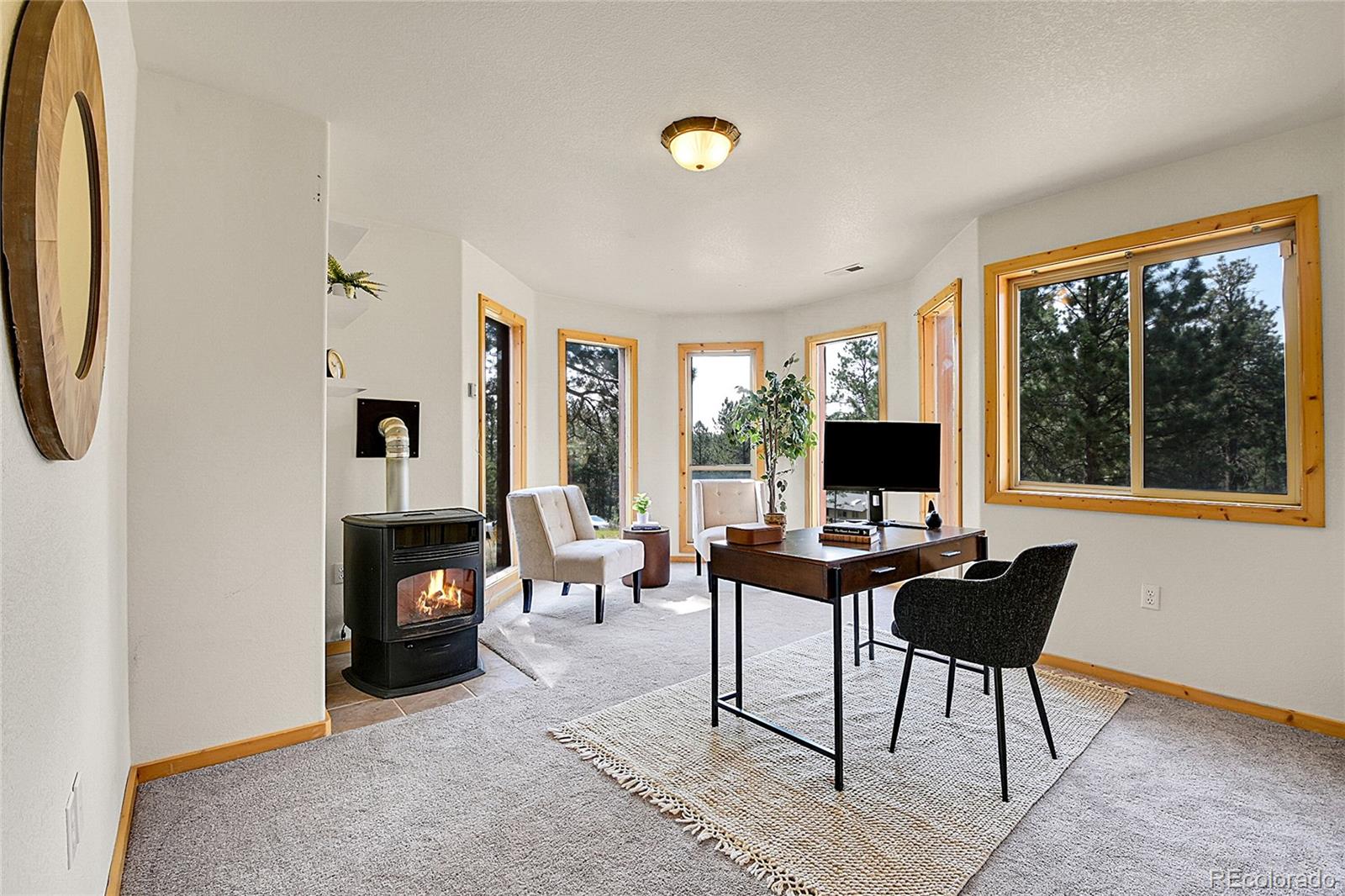 MLS Image #23 for 303  kudu trail,bailey, Colorado