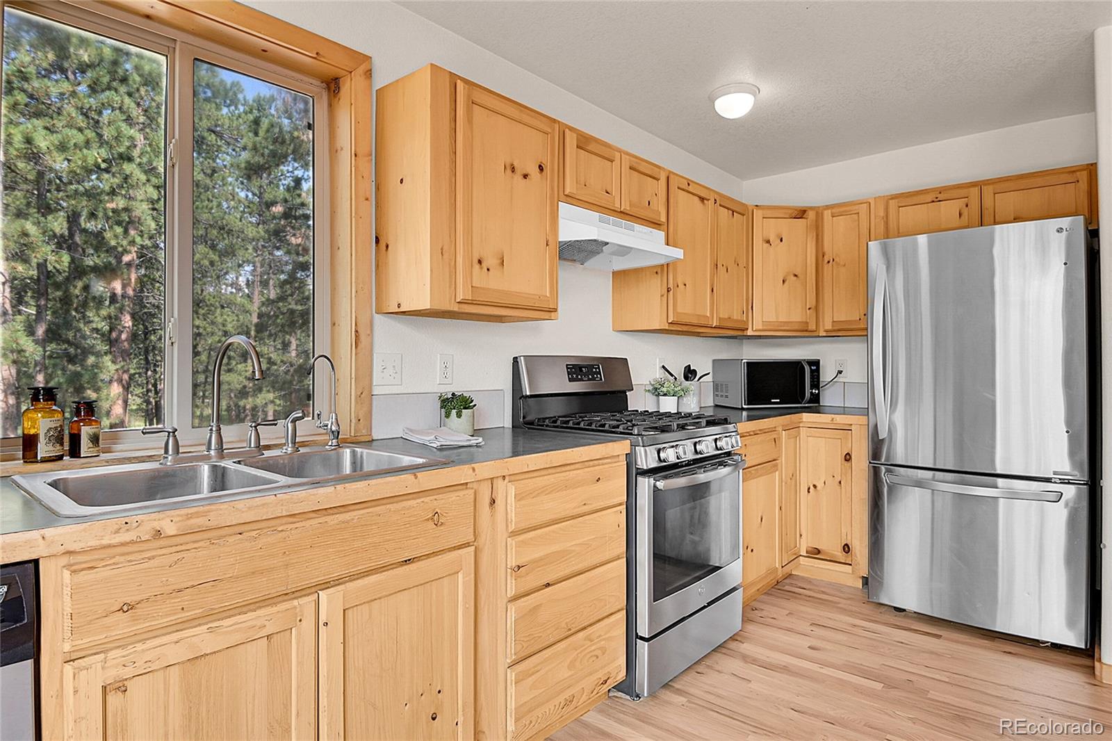 MLS Image #5 for 303  kudu trail,bailey, Colorado
