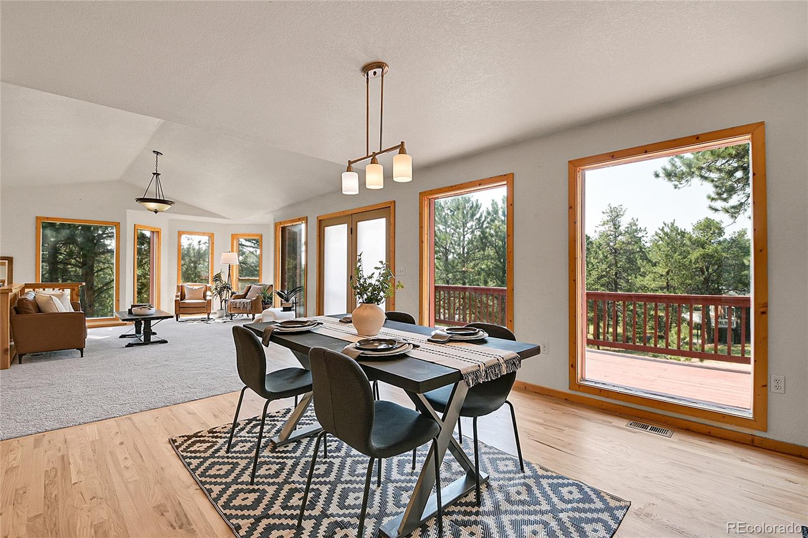 MLS Image #7 for 303  kudu trail,bailey, Colorado