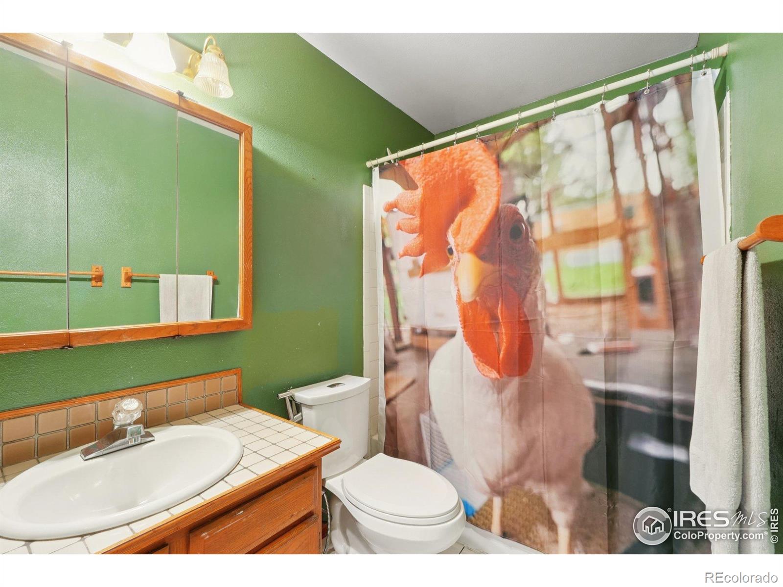 MLS Image #15 for 12941 s princess circle,broomfield, Colorado